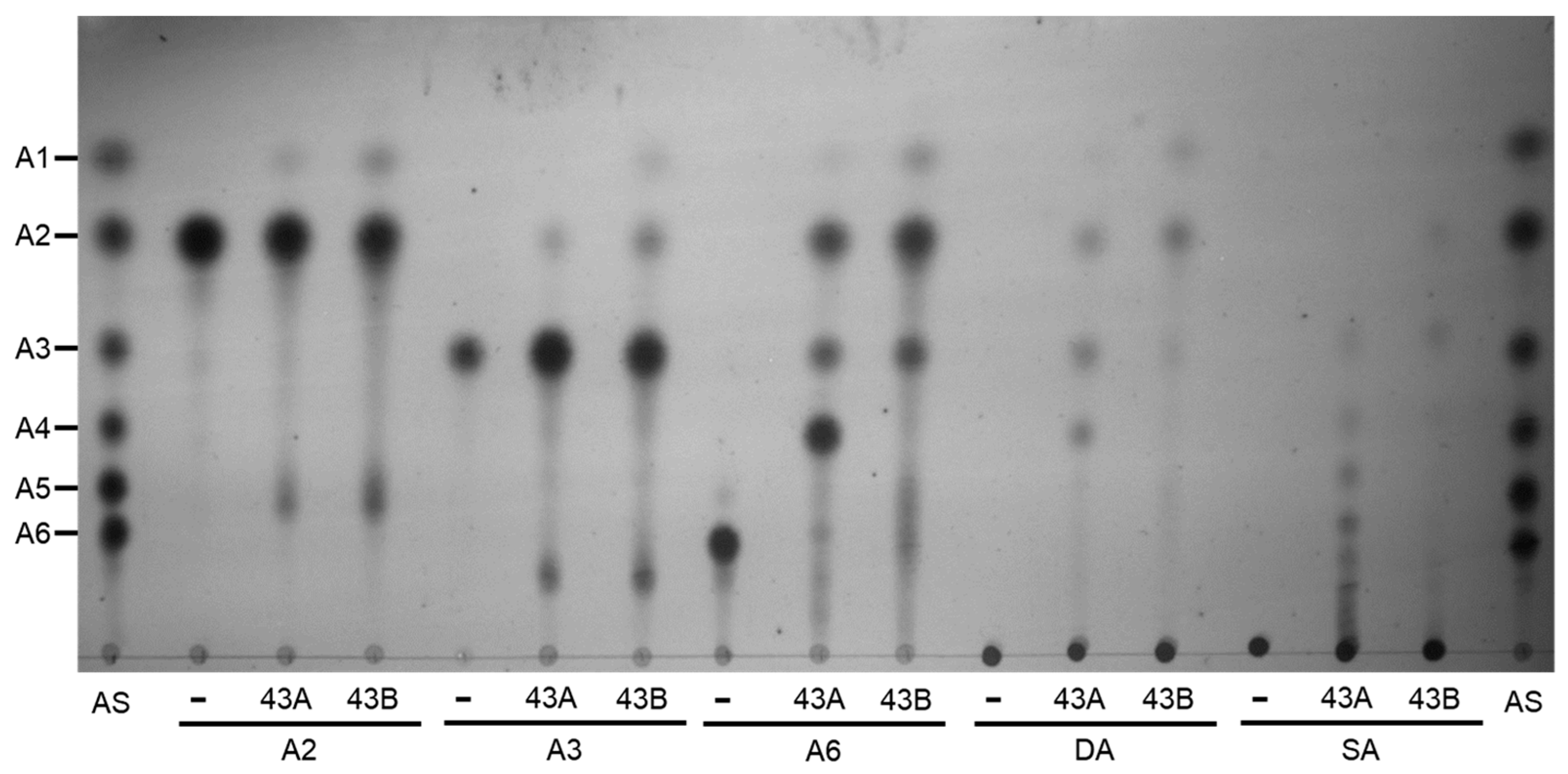 Ijms 25 03175 g007 Ijms 25 03175 g007