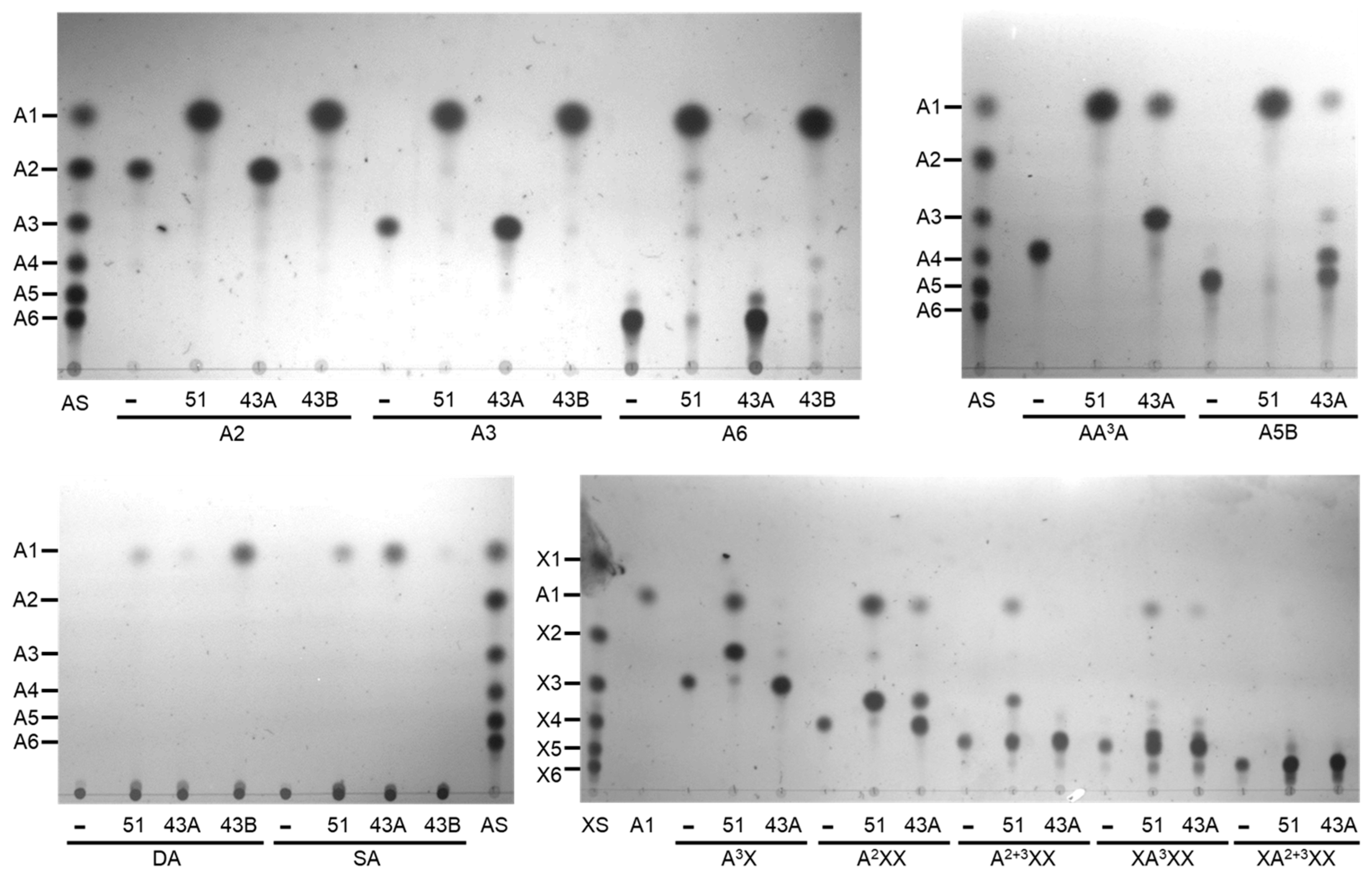 Ijms 25 03175 g008 Ijms 25 03175 g008