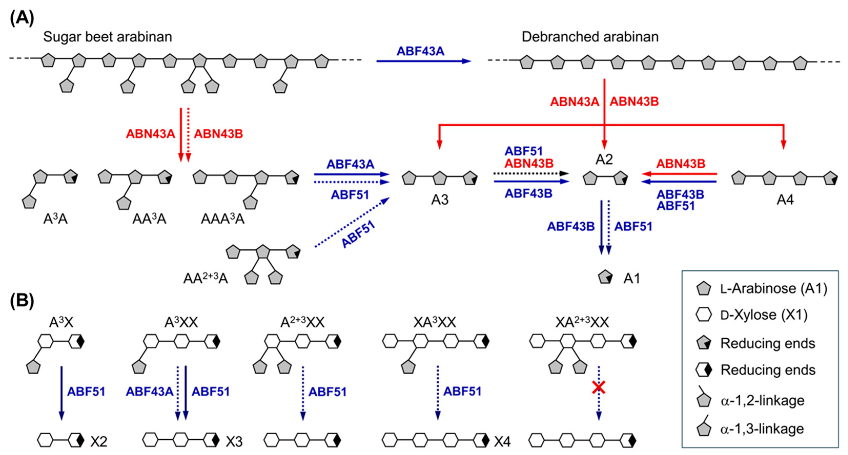 Ijms 25 03175 g009 Ijms 25 03175 g009