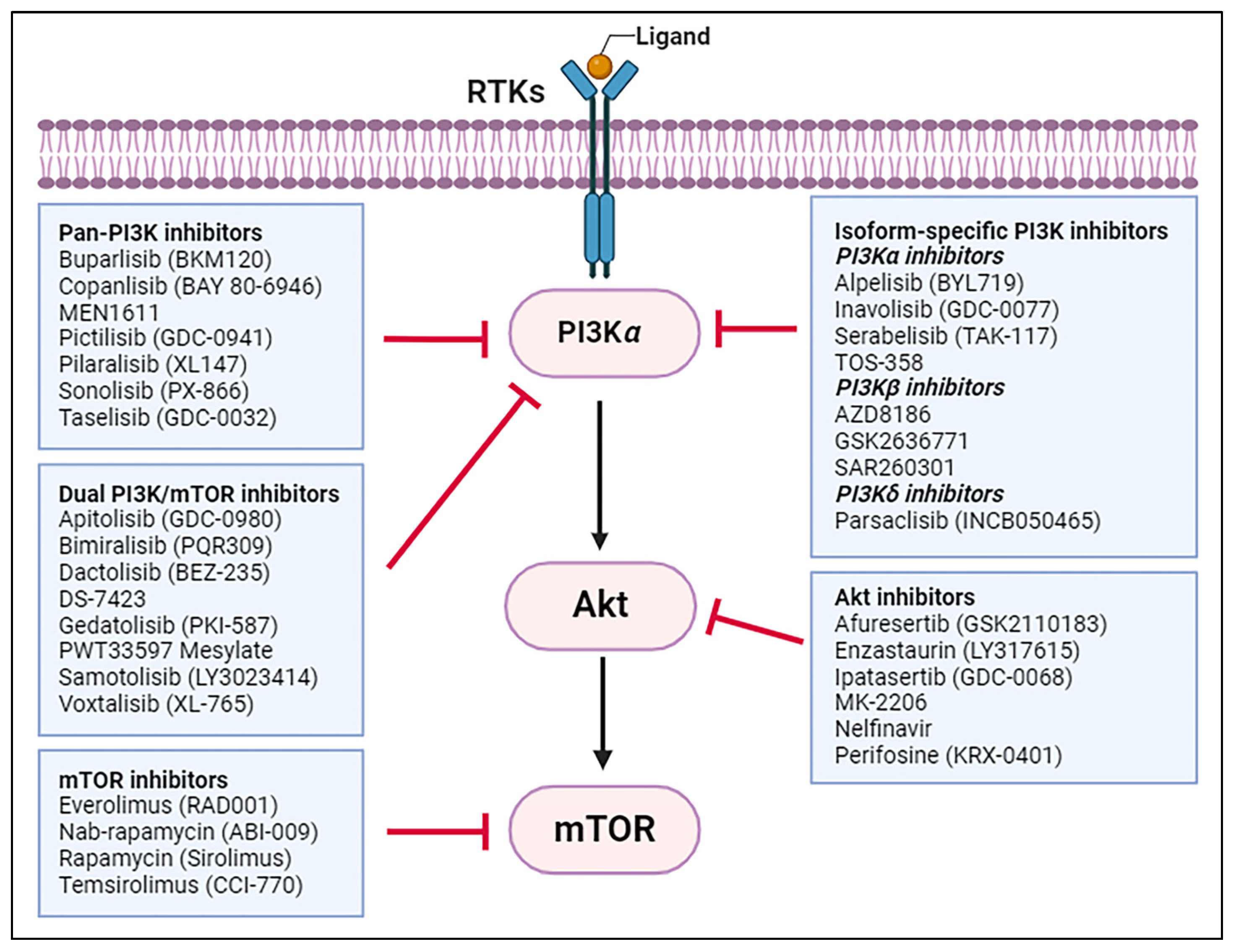 Ijms 25 03178 g002 Ijms 25 03178 g002