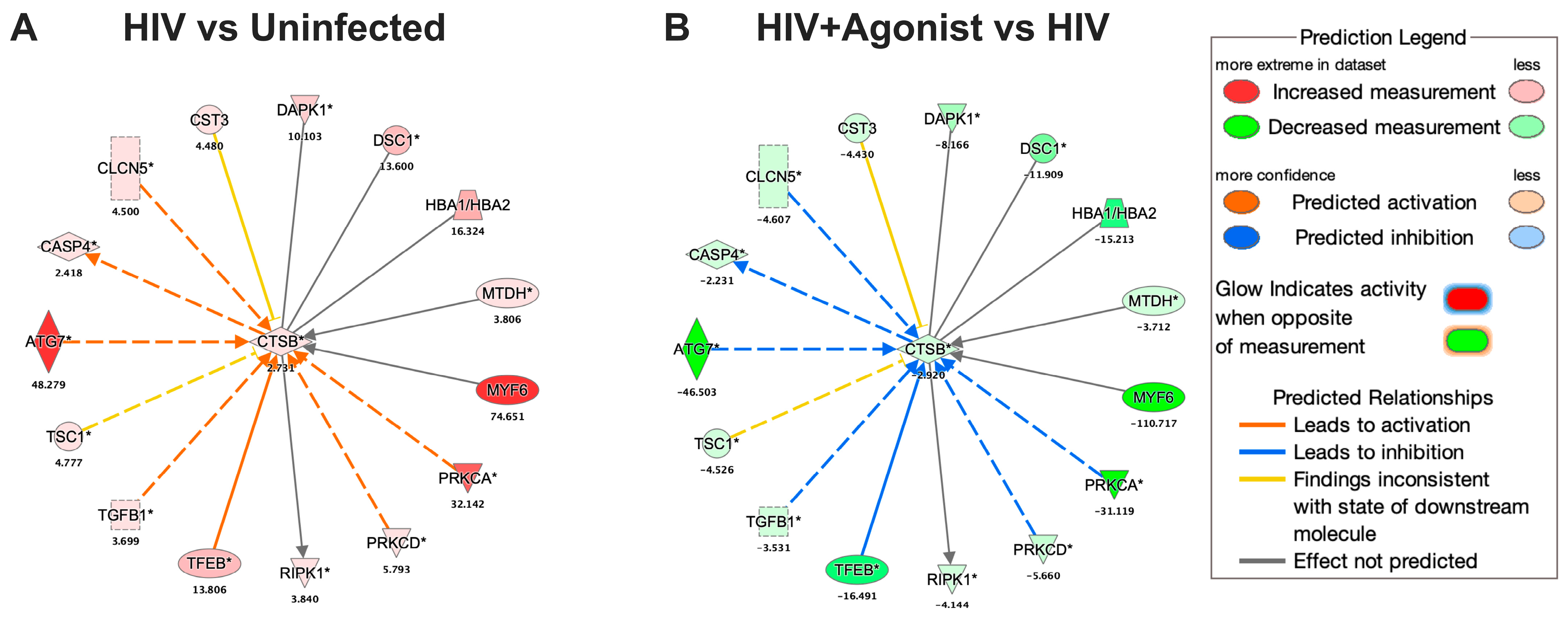 Ijms 25 03246 g005 Ijms 25 03246 g005