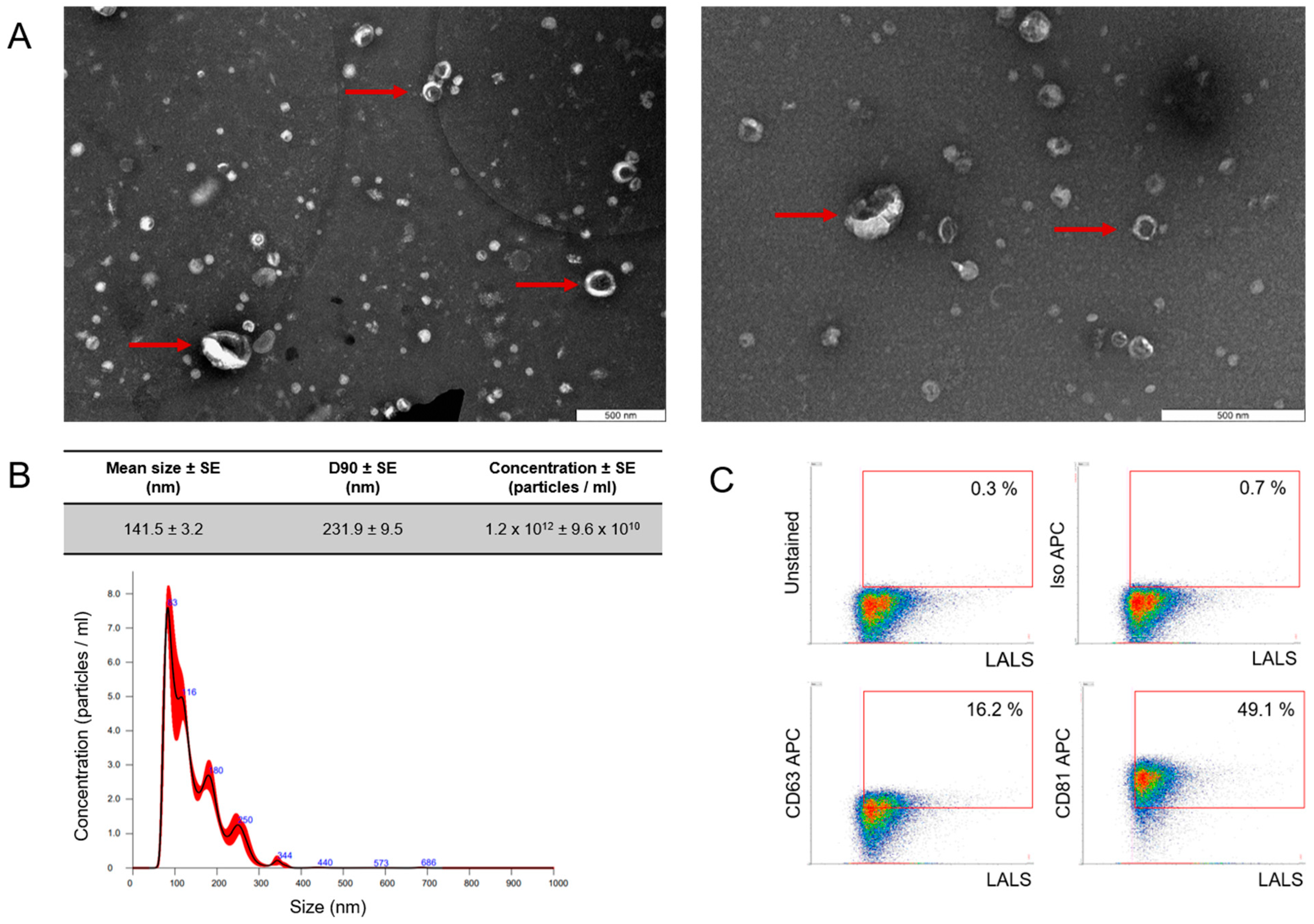 Ijms 25 03262 g001 Ijms 25 03262 g001