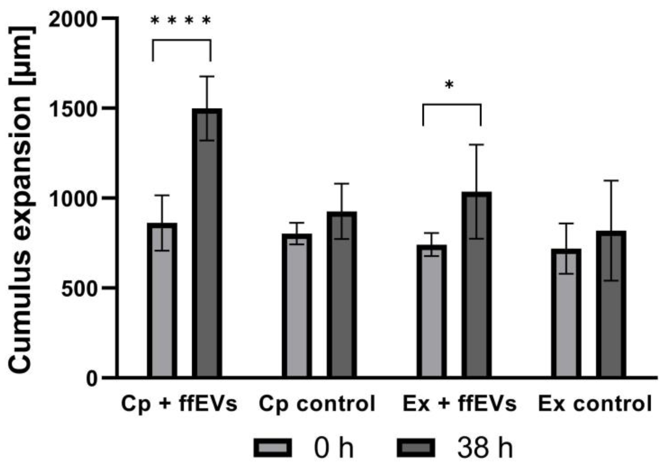 Ijms 25 03262 g004 Ijms 25 03262 g004