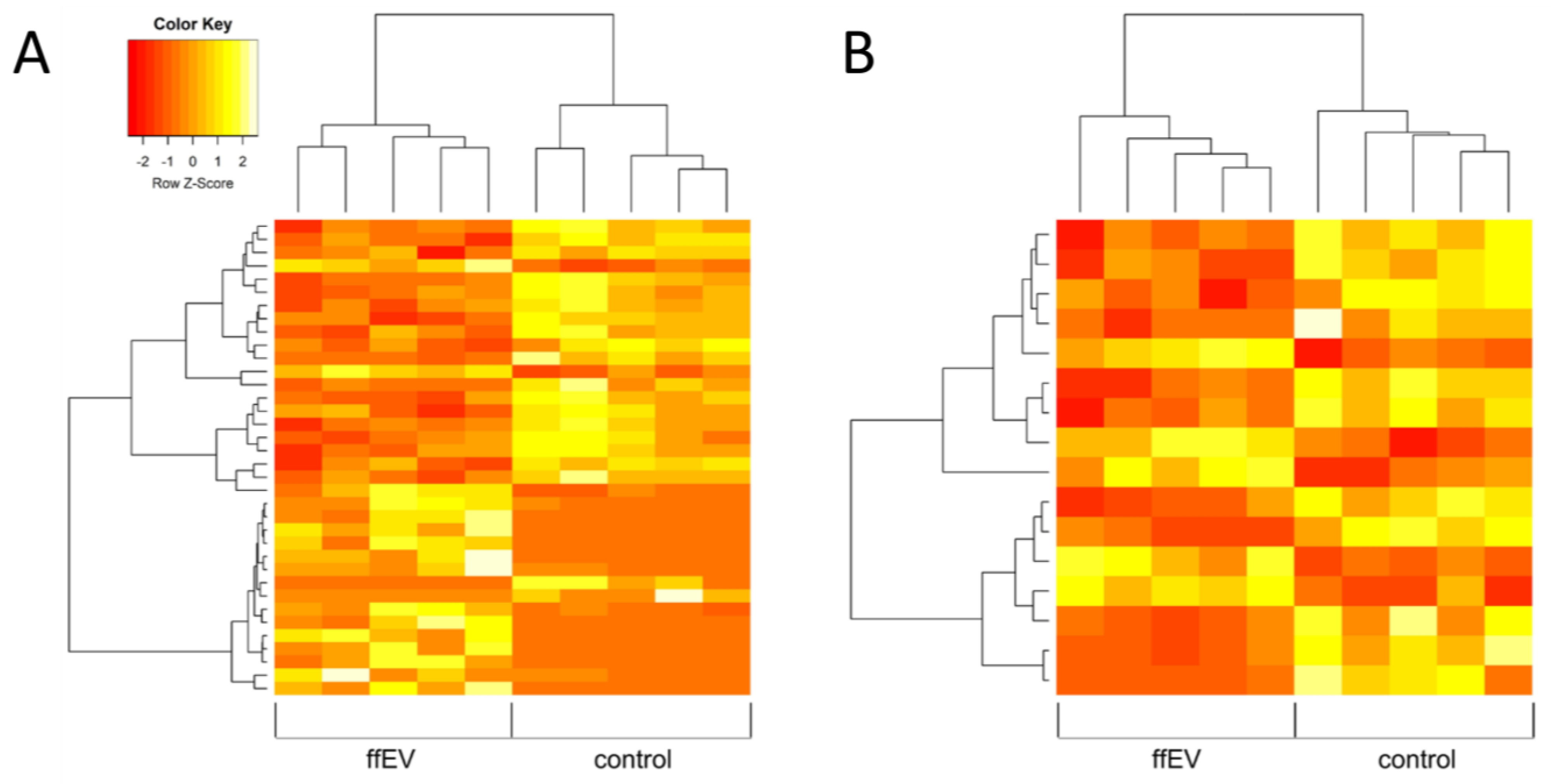 Ijms 25 03262 g008 Ijms 25 03262 g008
