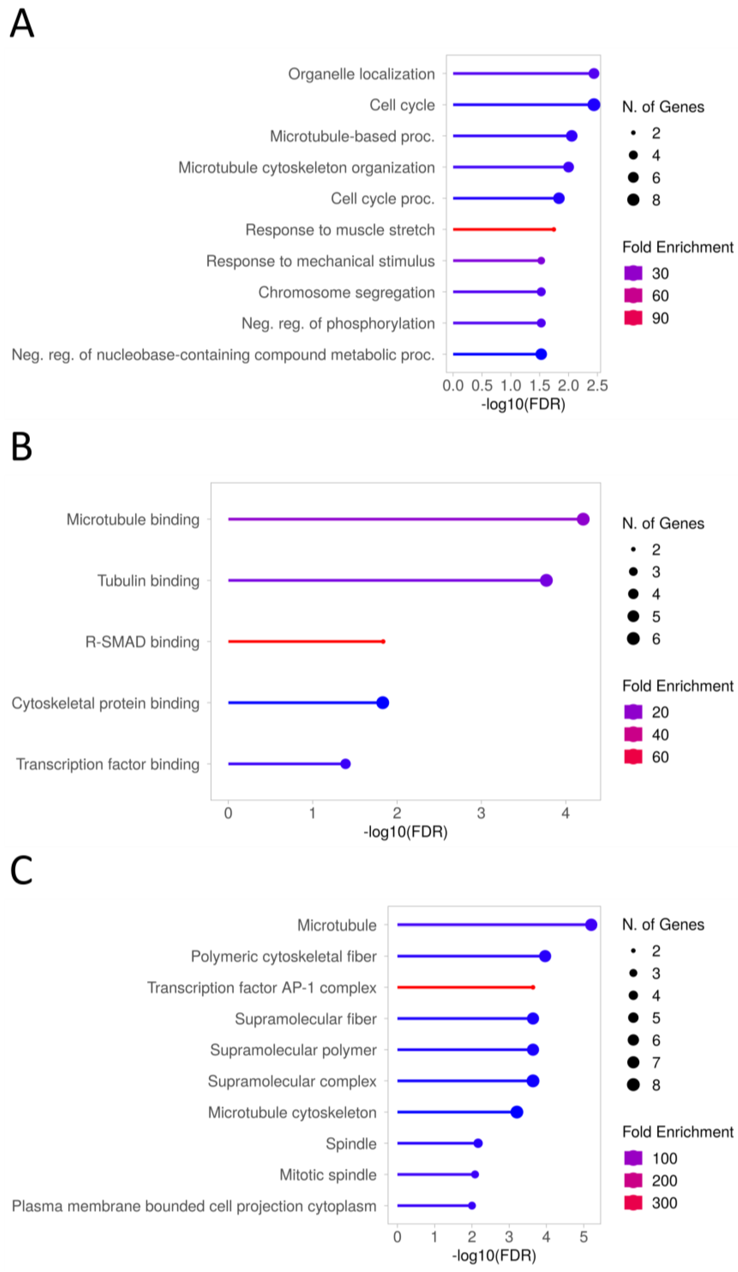 Ijms 25 03262 g010 Ijms 25 03262 g010