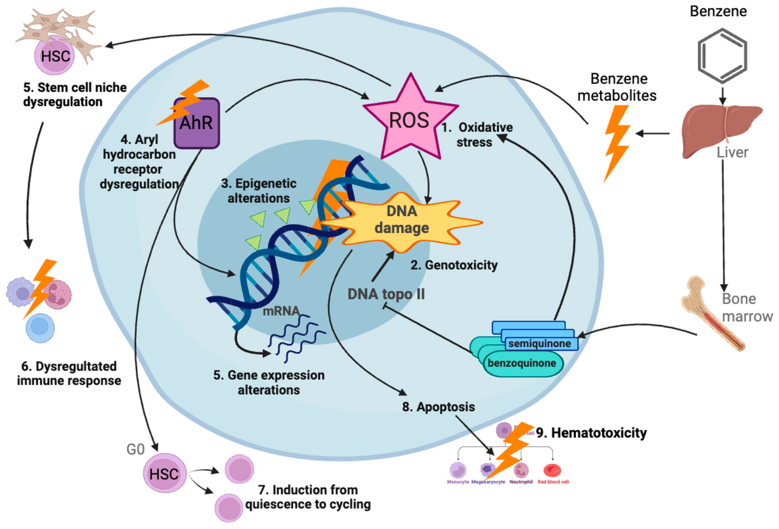 Ijms 25 03284 g011 Ijms 25 03284 g011