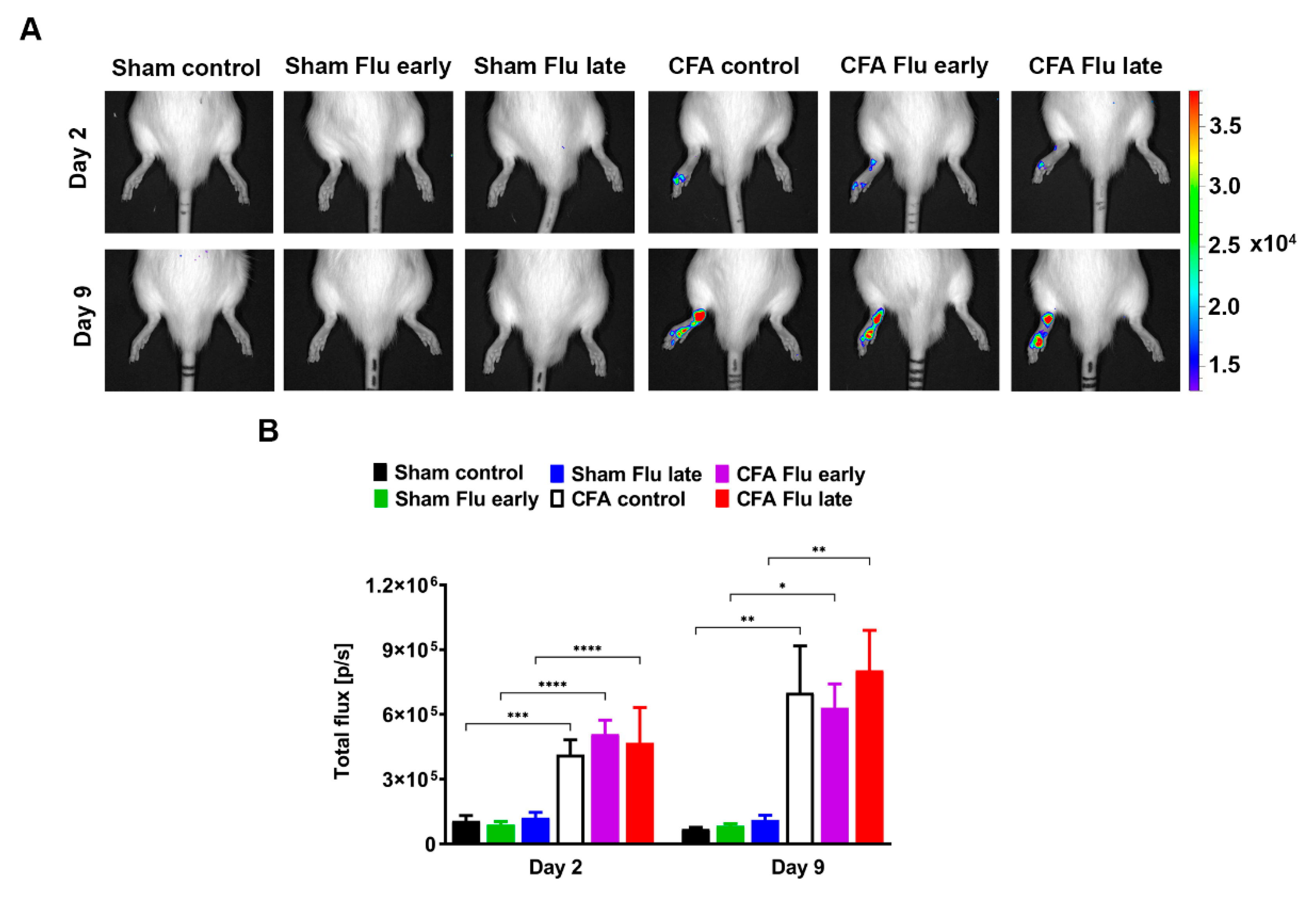Ijms 25 03292 g003 Ijms 25 03292 g003