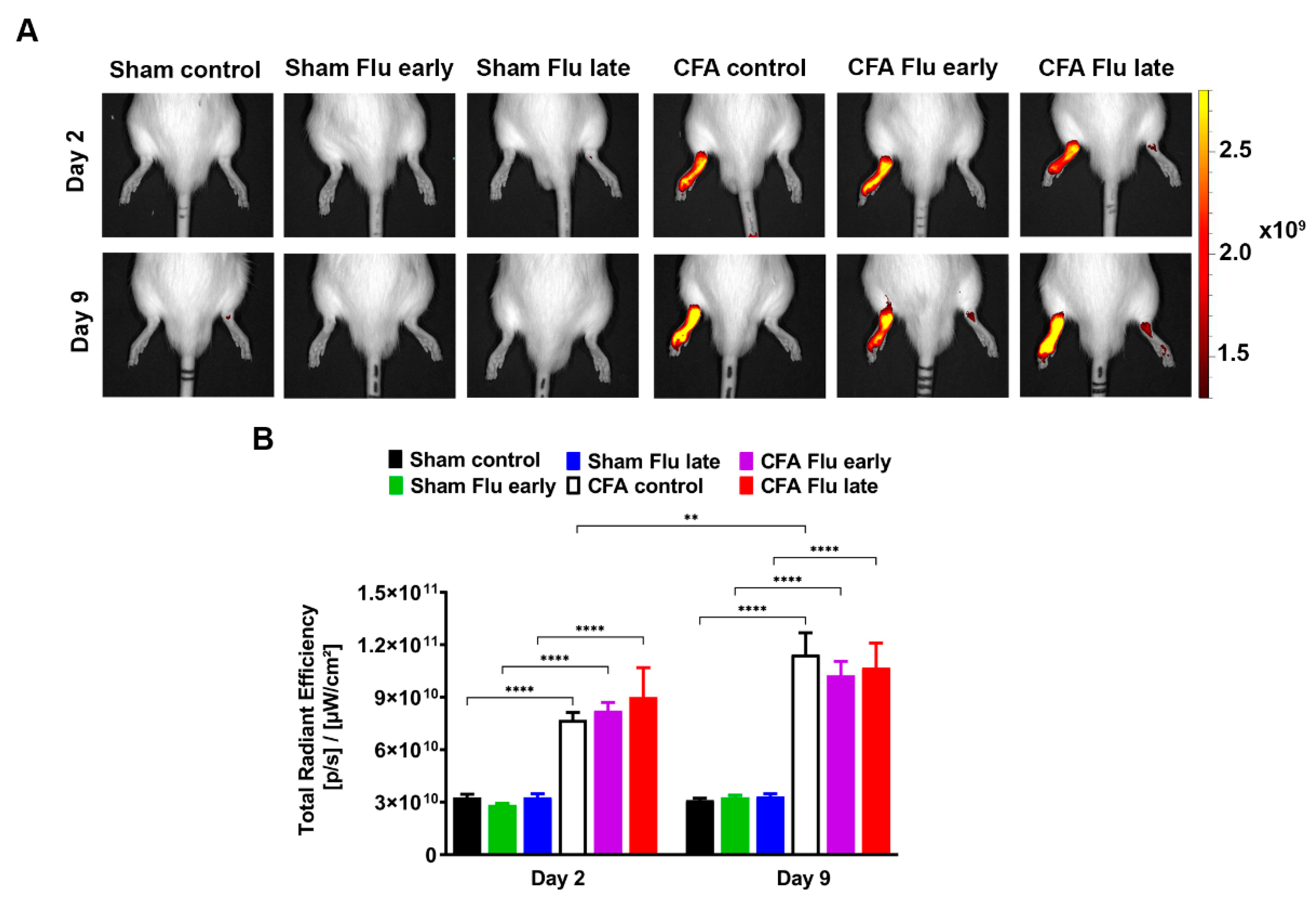 Ijms 25 03292 g004 Ijms 25 03292 g004