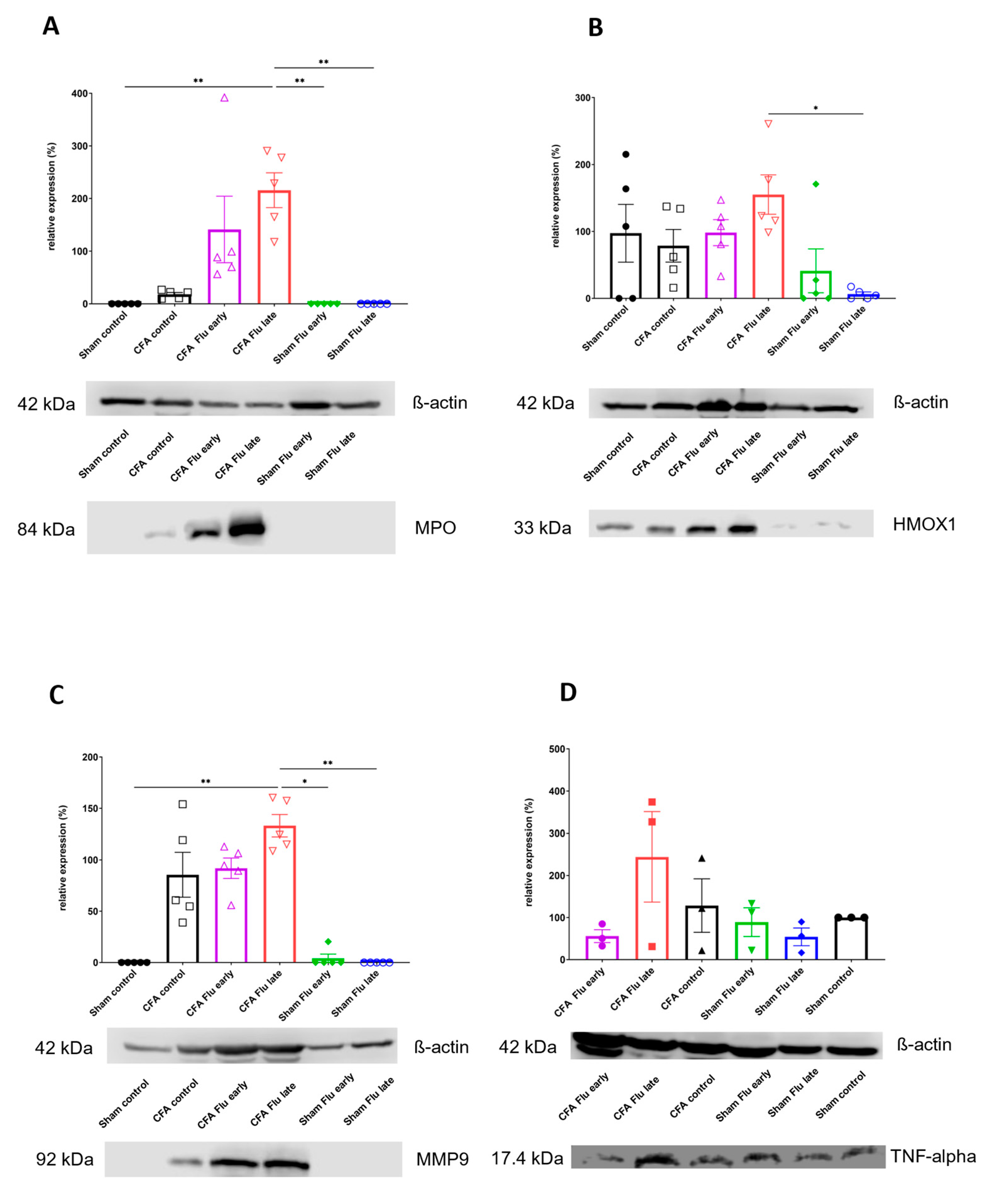 Ijms 25 03292 g005 Ijms 25 03292 g005