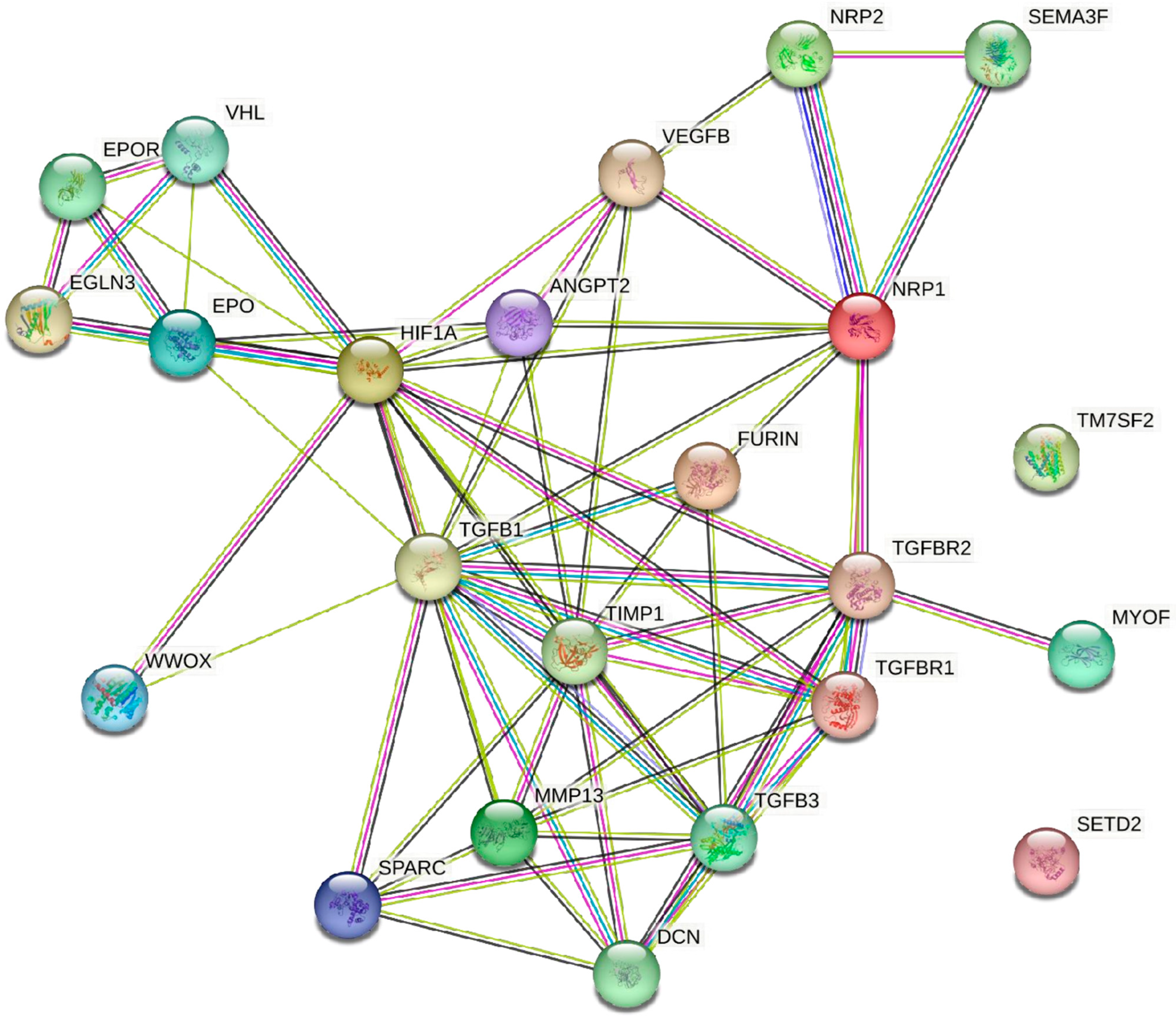 Ijms 25 03313 g003 Ijms 25 03313 g003