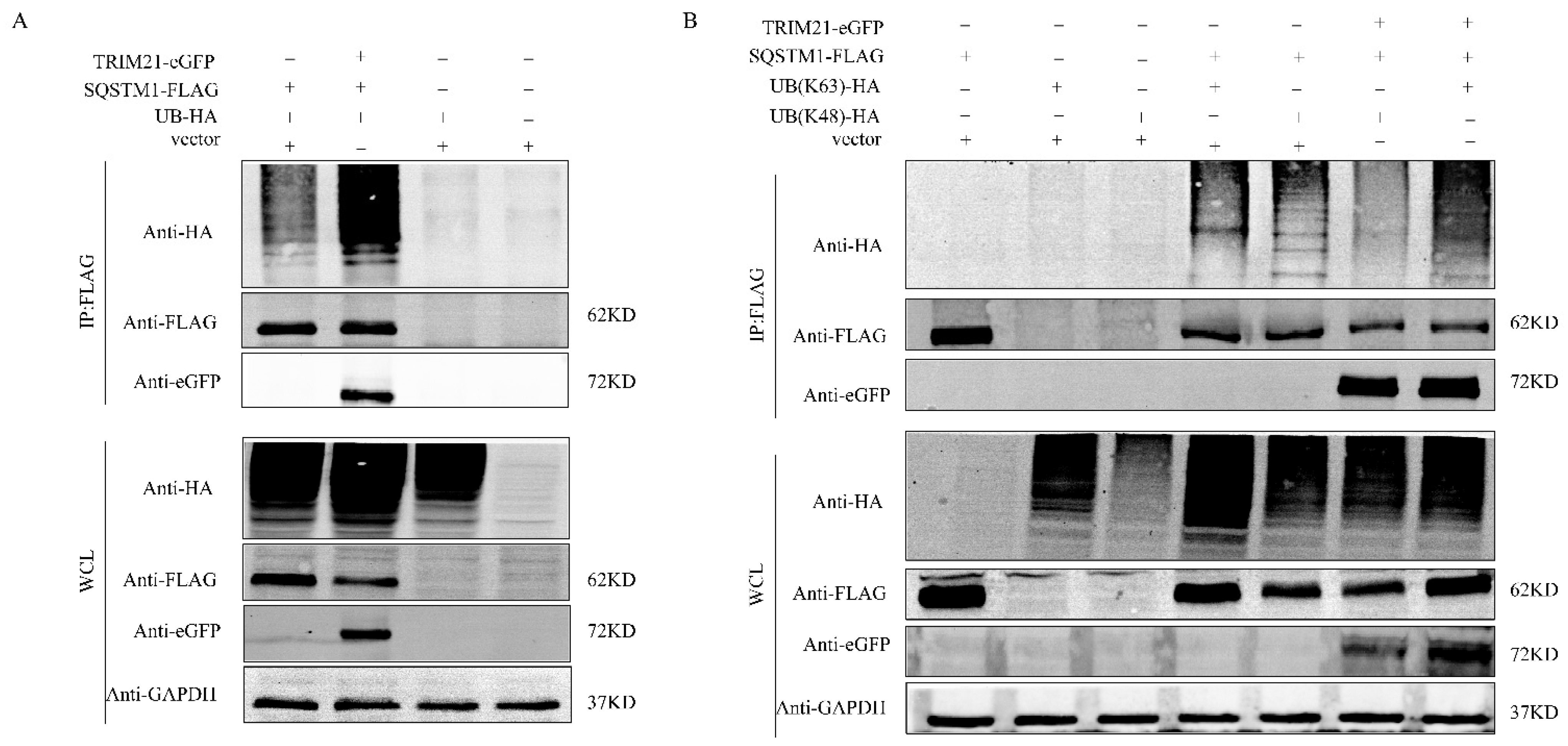 Ijms 25 03315 g006