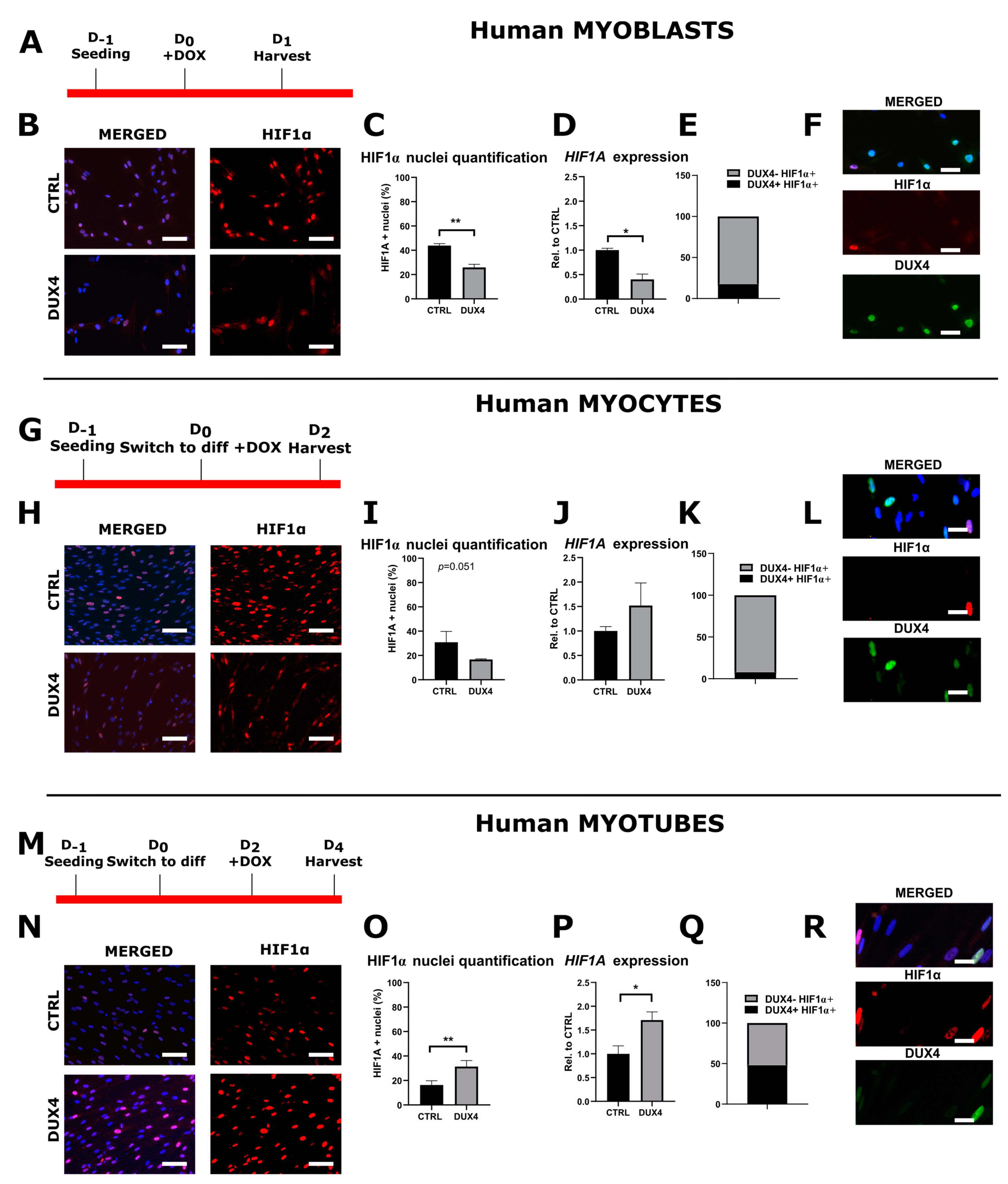 Ijms 25 03327 g001 Ijms 25 03327 g001