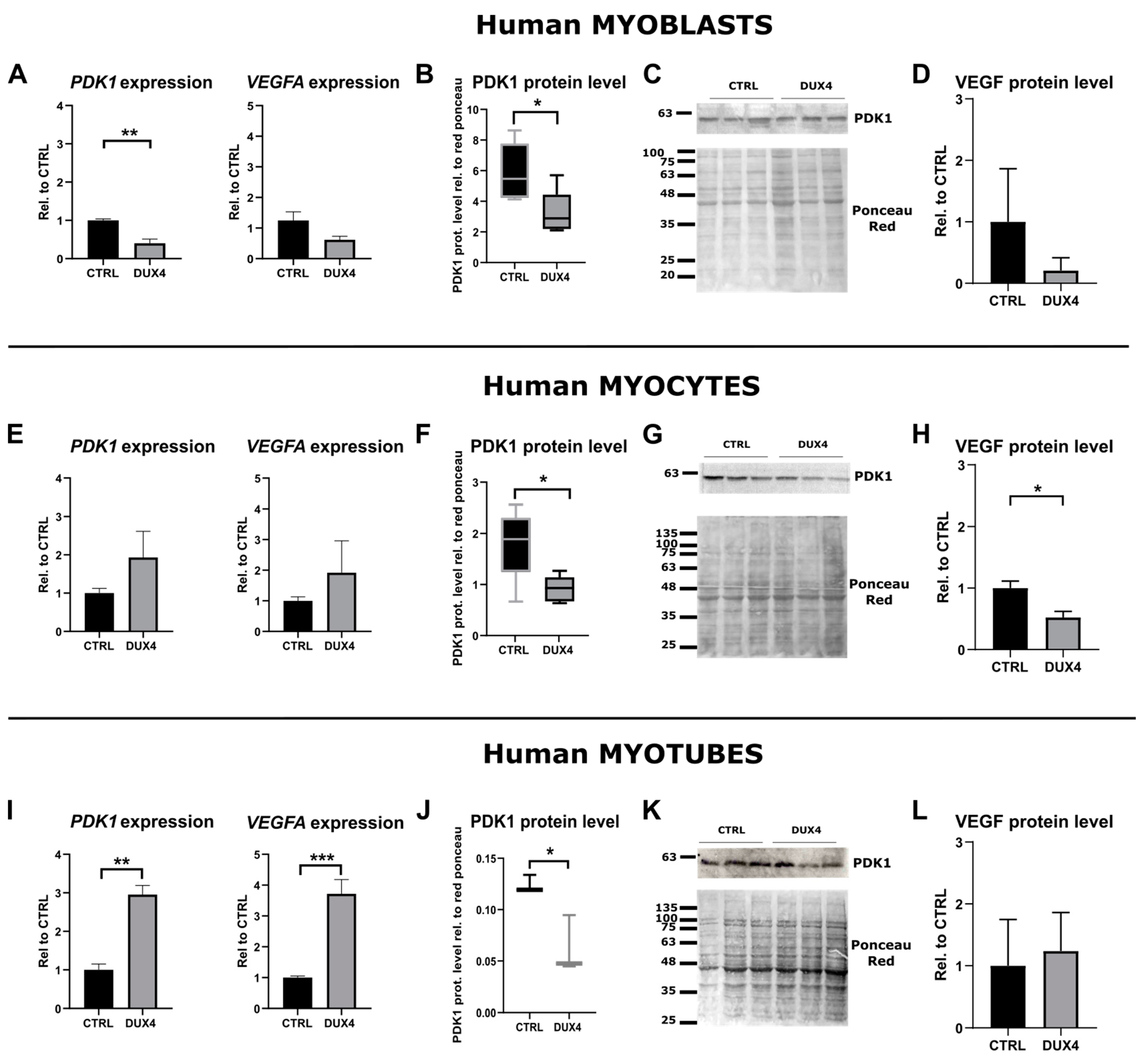 Ijms 25 03327 g002 Ijms 25 03327 g002