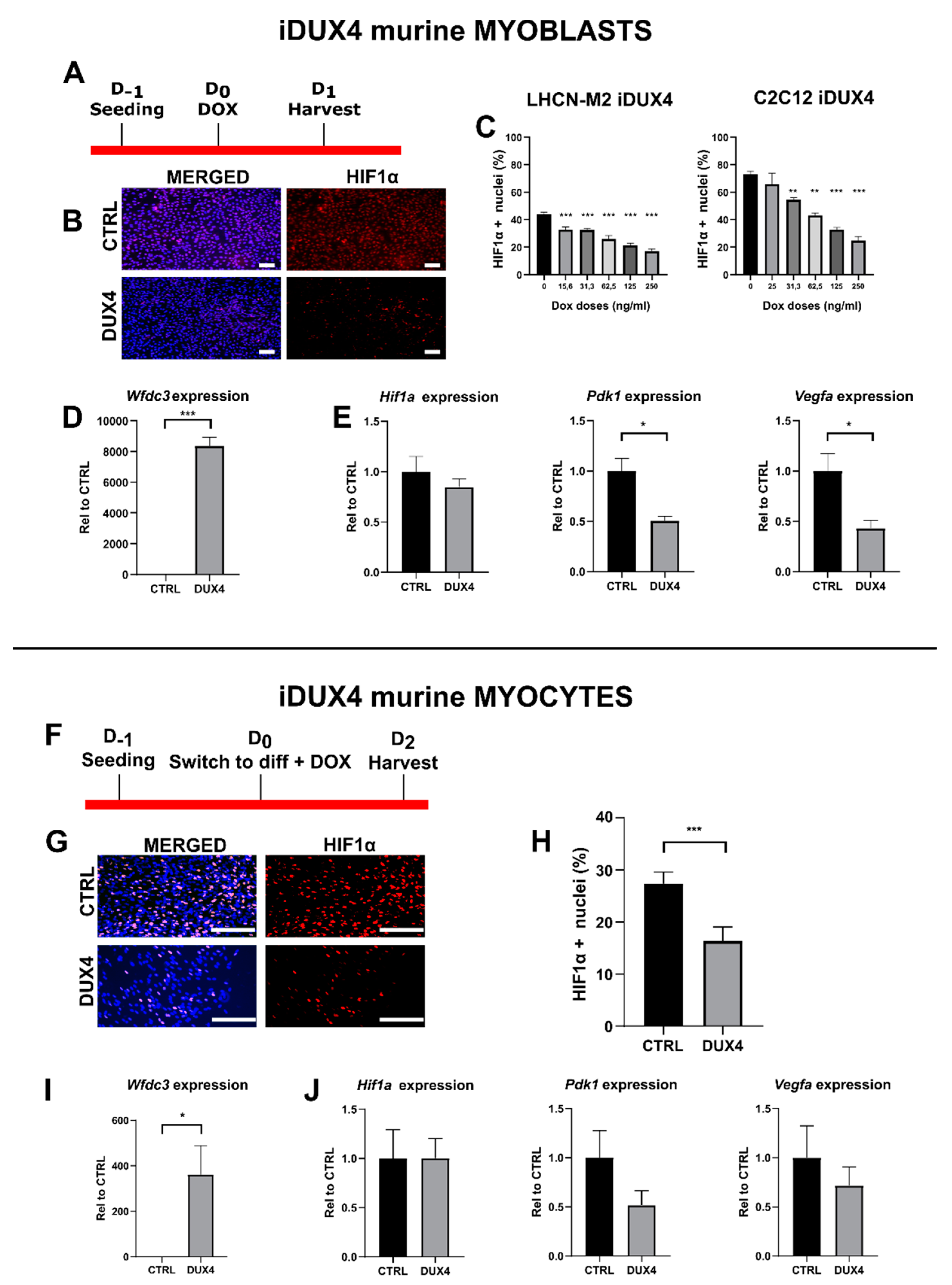 Ijms 25 03327 g003 Ijms 25 03327 g003