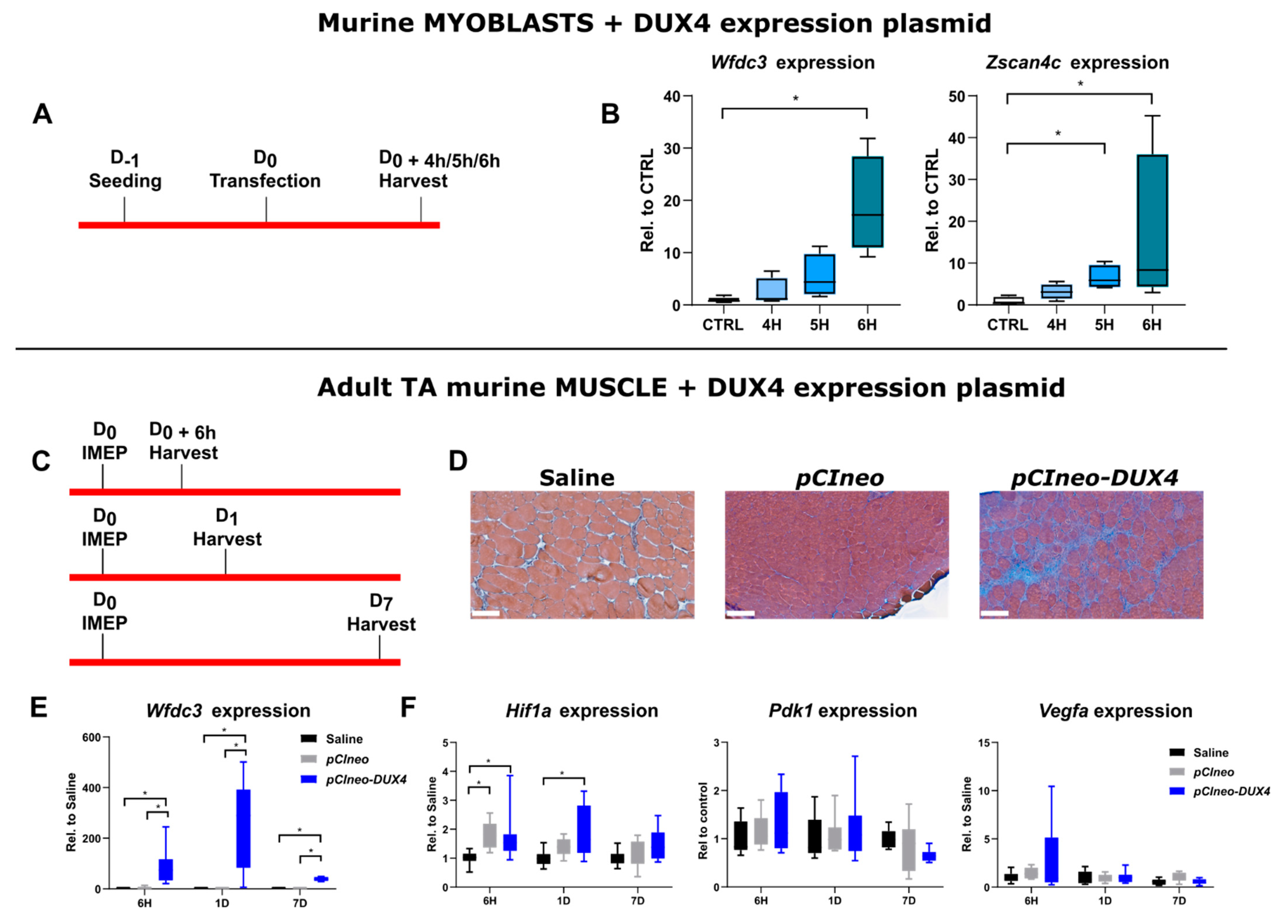 Ijms 25 03327 g004 Ijms 25 03327 g004