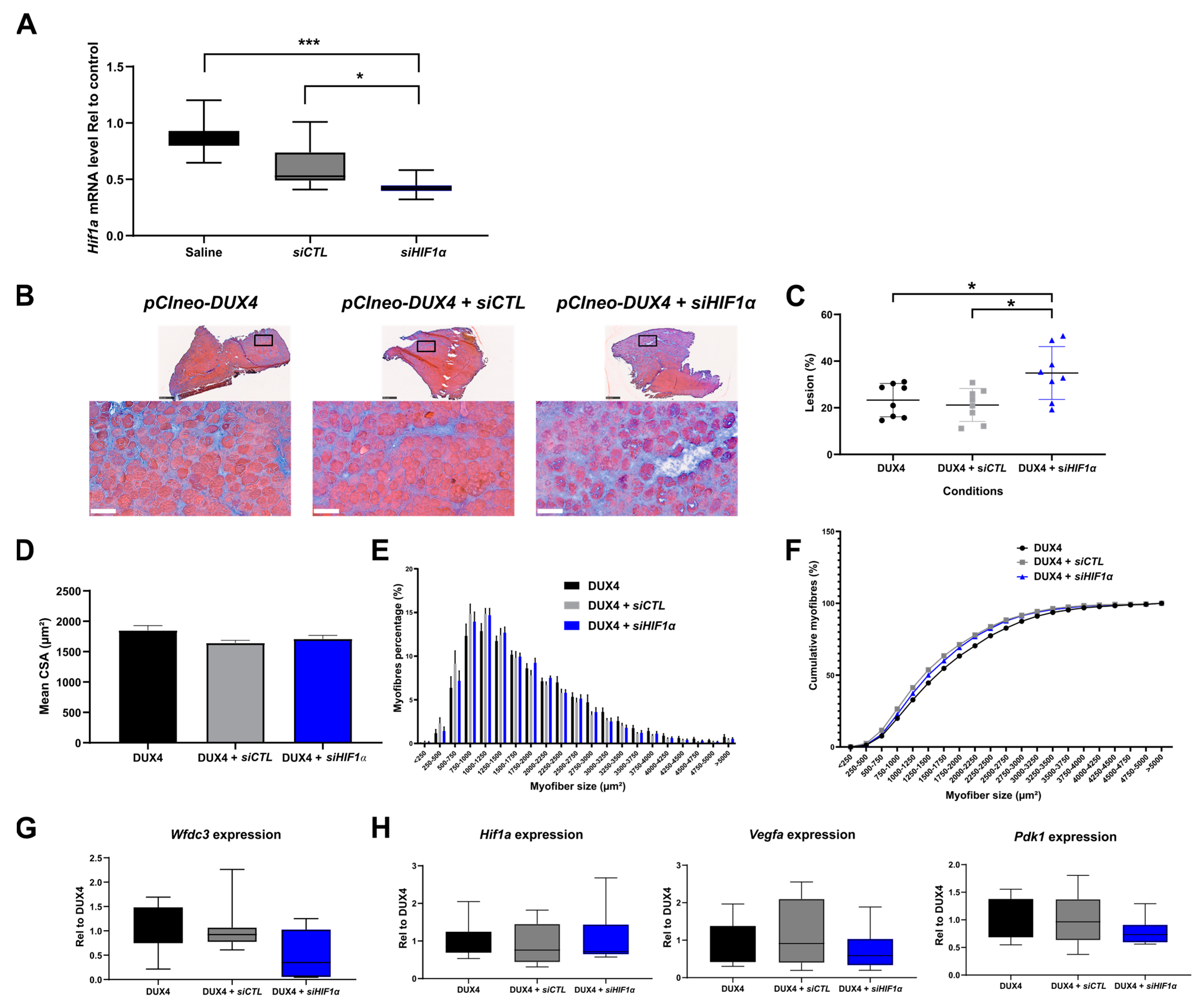 Ijms 25 03327 g005 Ijms 25 03327 g005