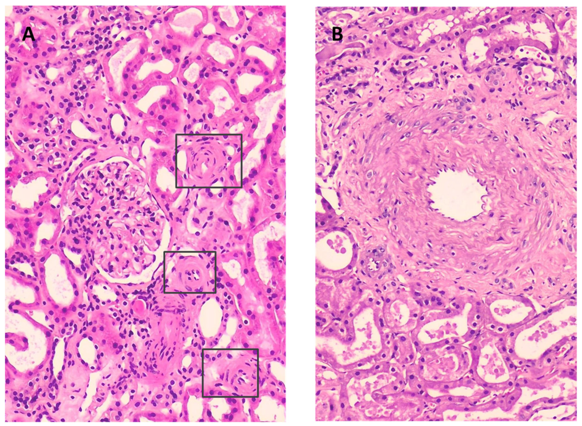 Ijms 25 03329 g002 Ijms 25 03329 g002