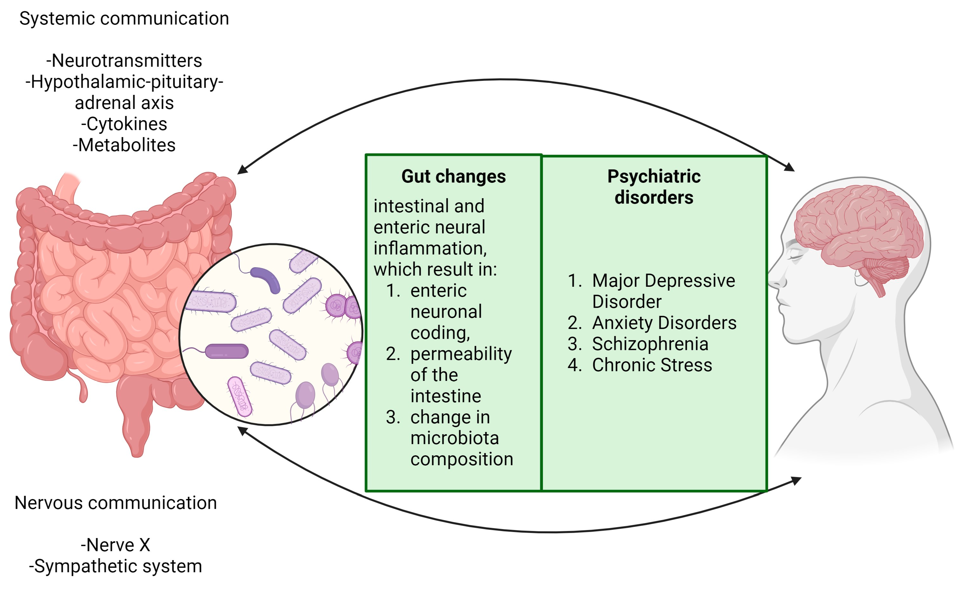 Ijms 25 03340 g003 Ijms 25 03340 g003