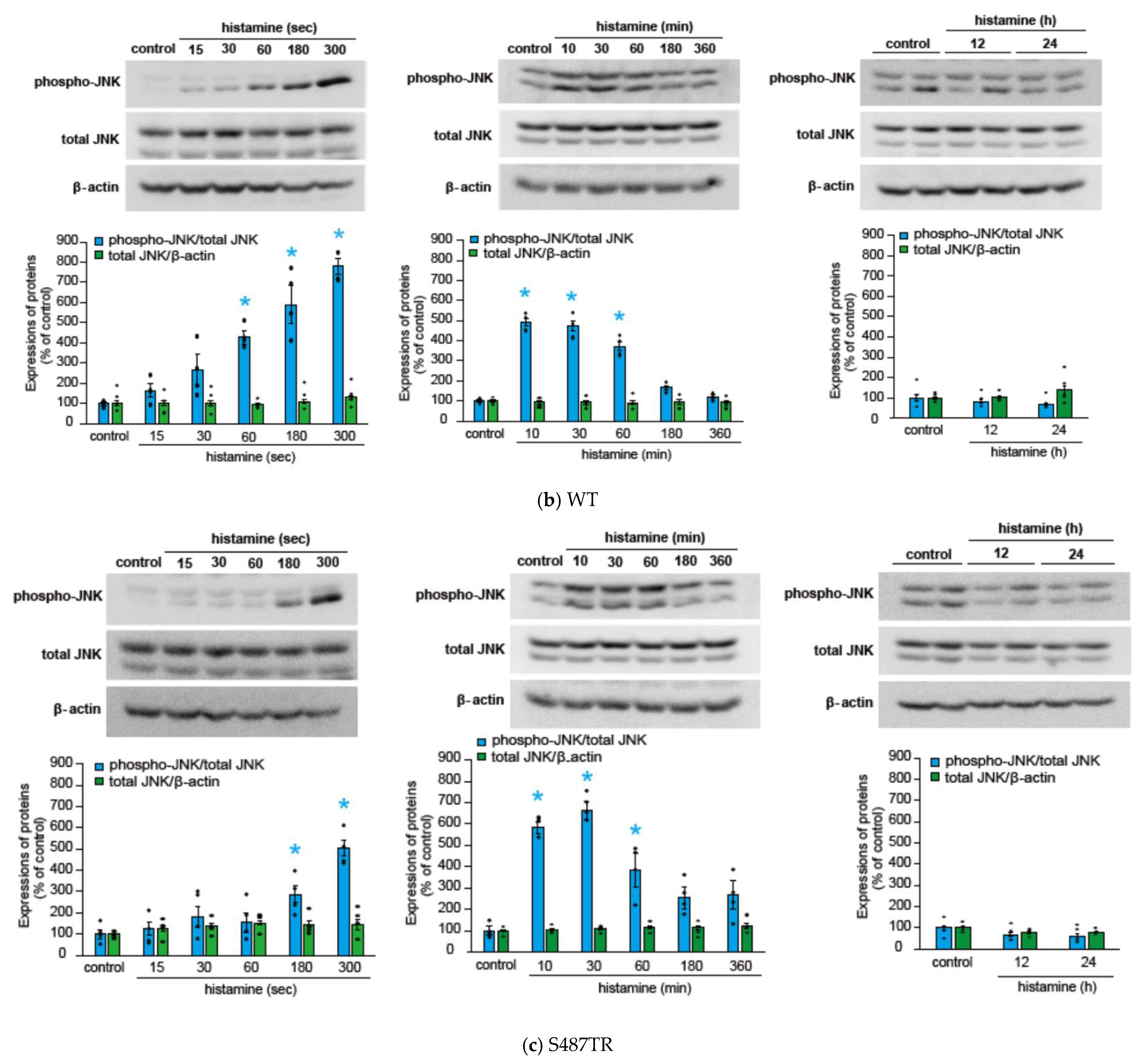 Ijms 25 03395 g003b Ijms 25 03395 g003b
