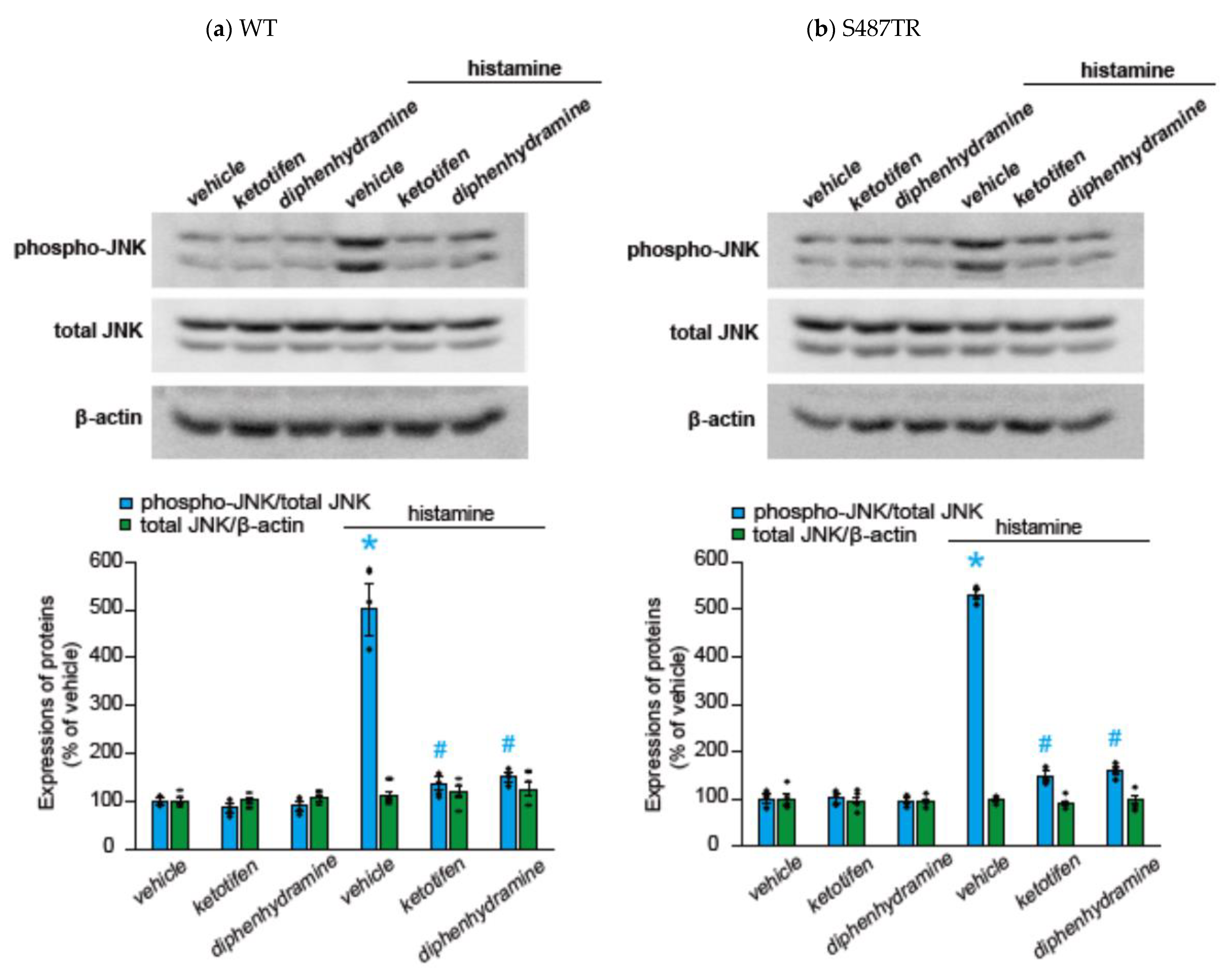 Ijms 25 03395 g004 Ijms 25 03395 g004