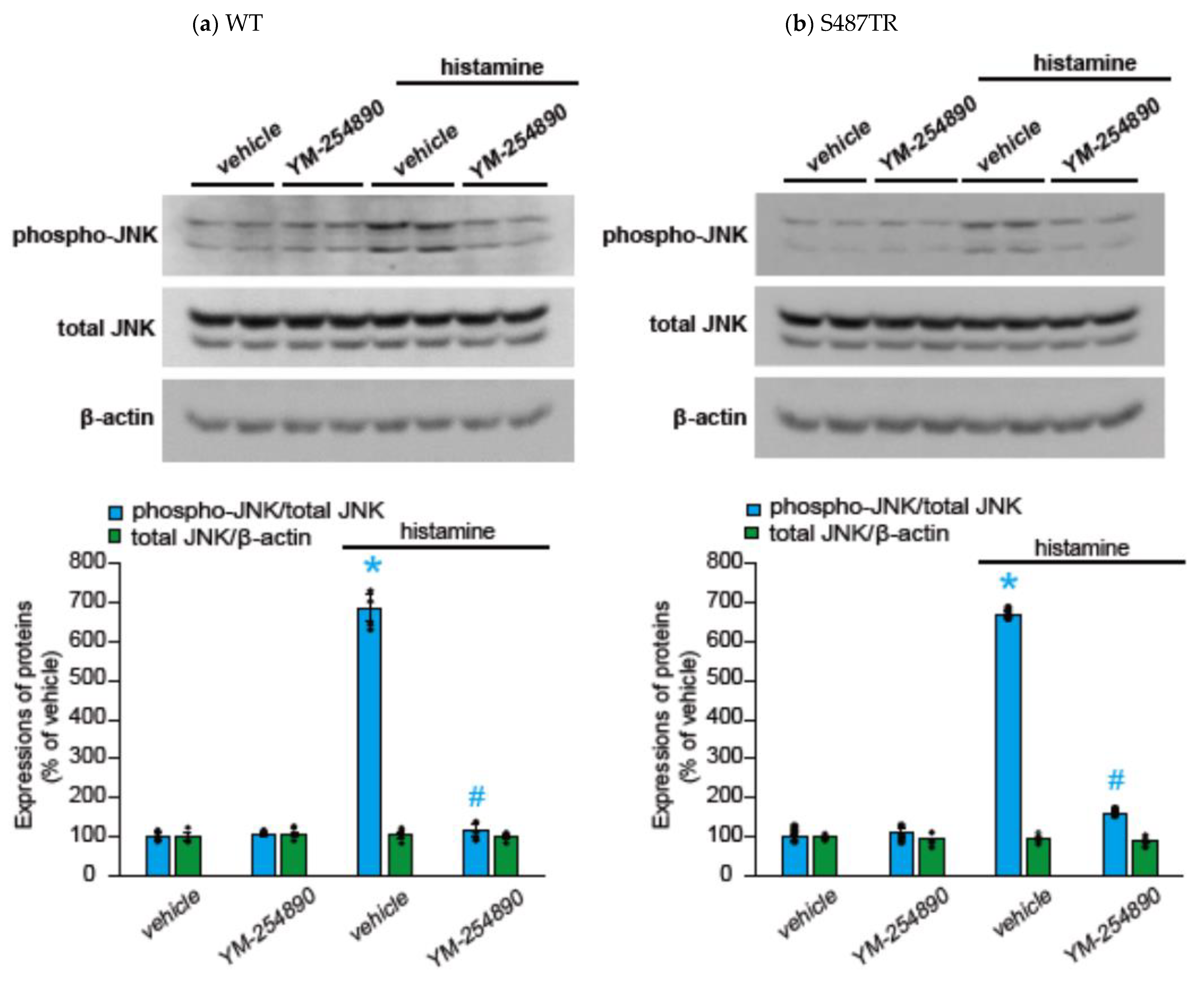 Ijms 25 03395 g005 Ijms 25 03395 g005