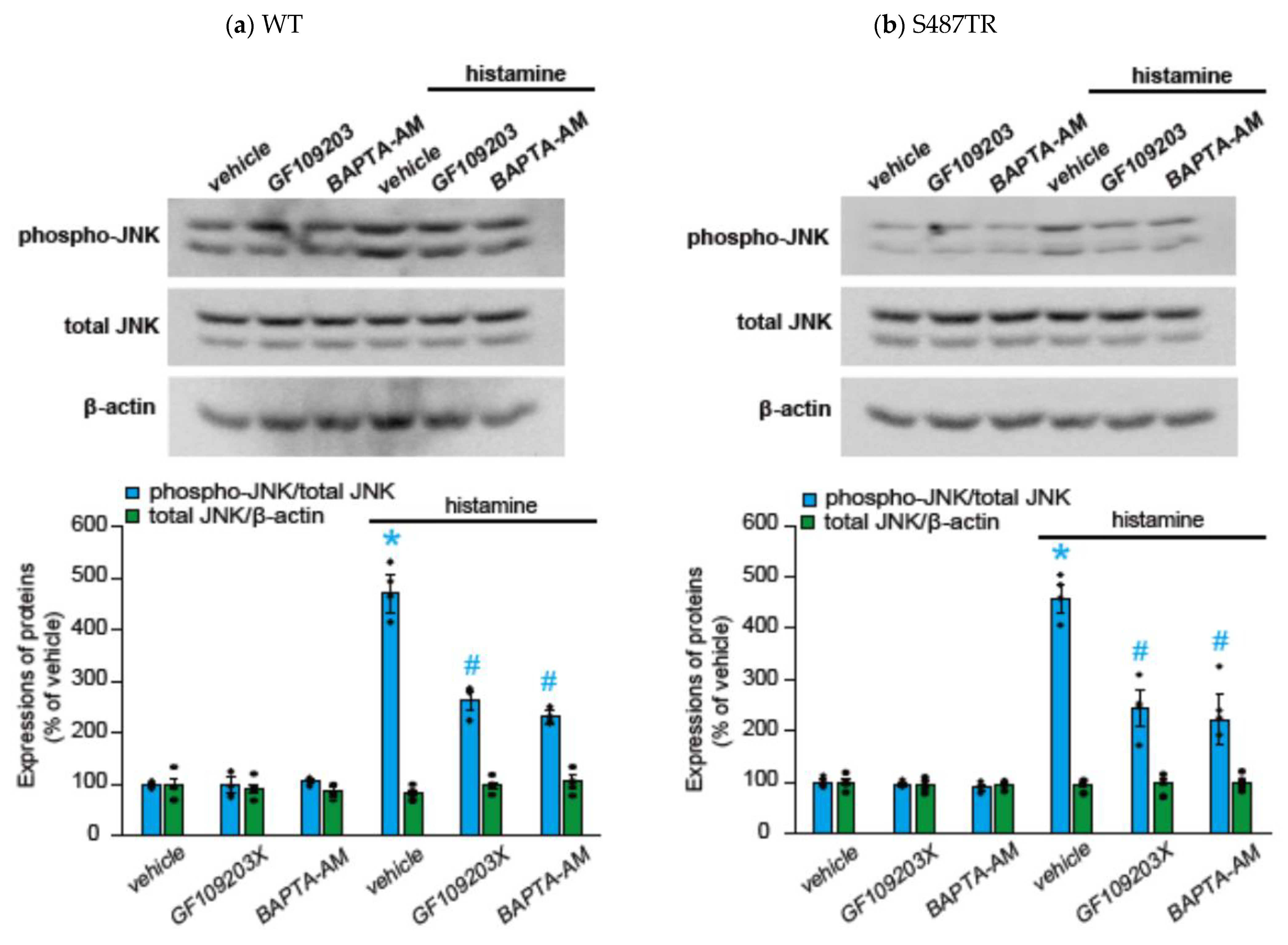 Ijms 25 03395 g006 Ijms 25 03395 g006