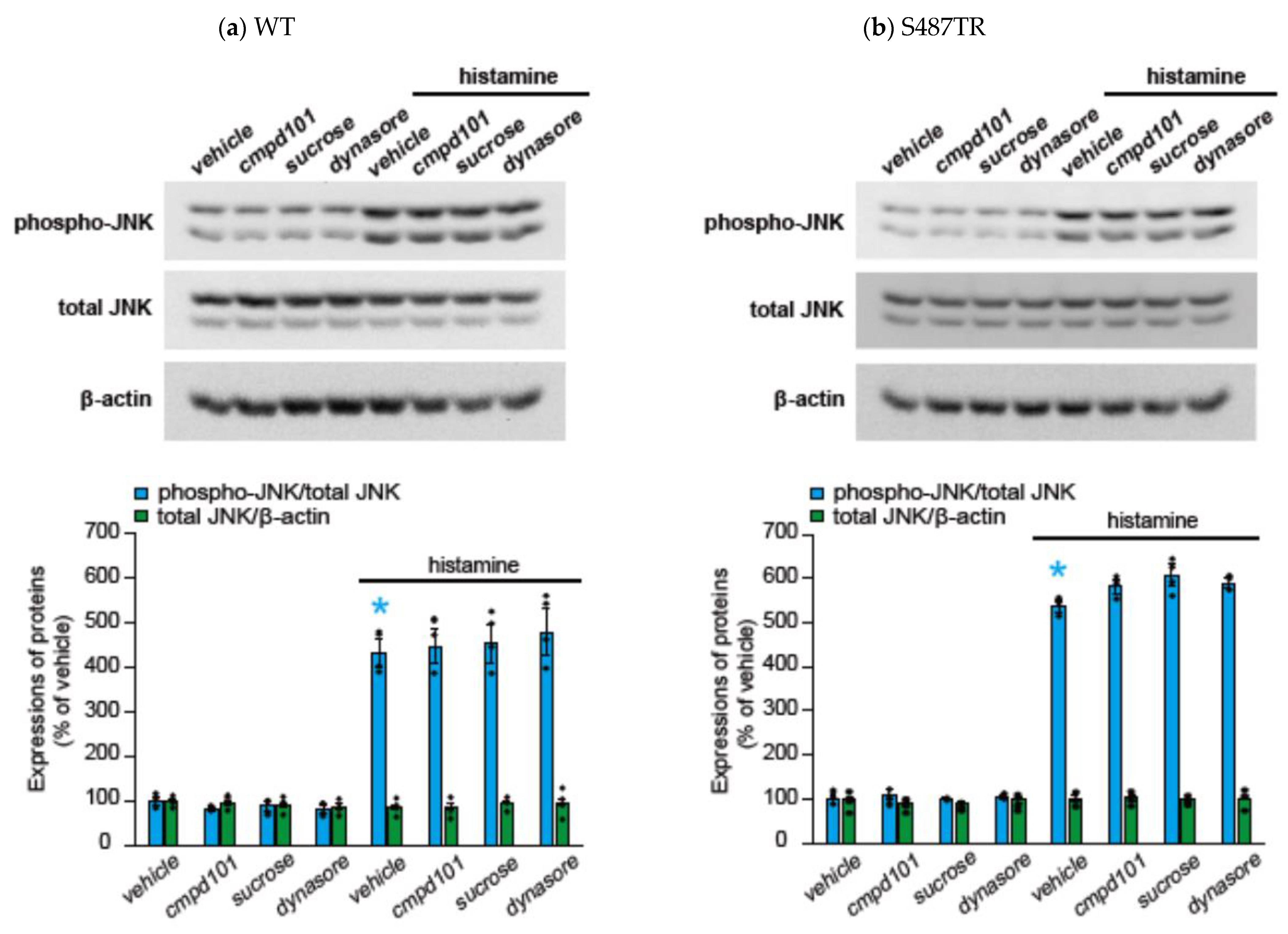 Ijms 25 03395 g007 Ijms 25 03395 g007