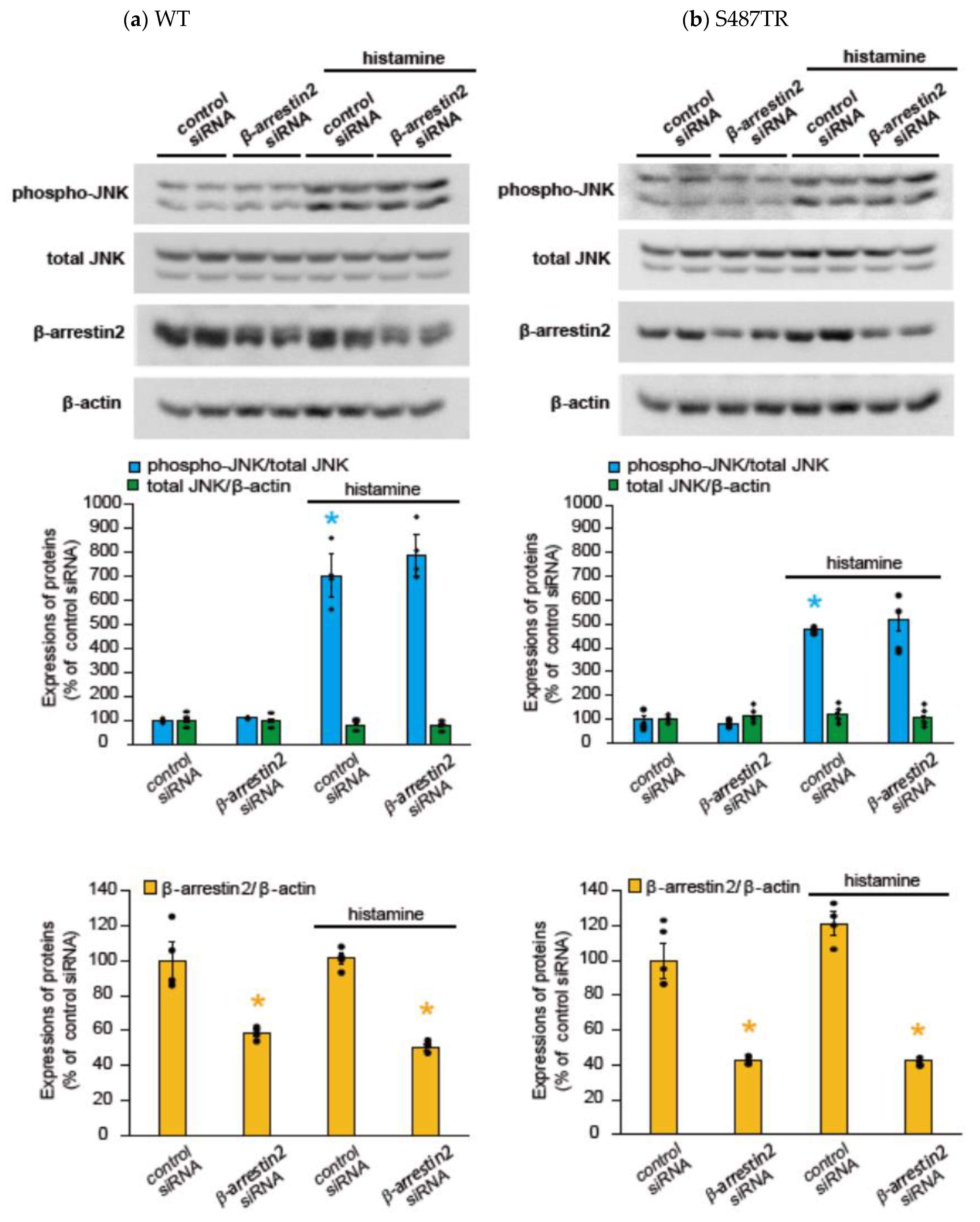 Ijms 25 03395 g008 Ijms 25 03395 g008