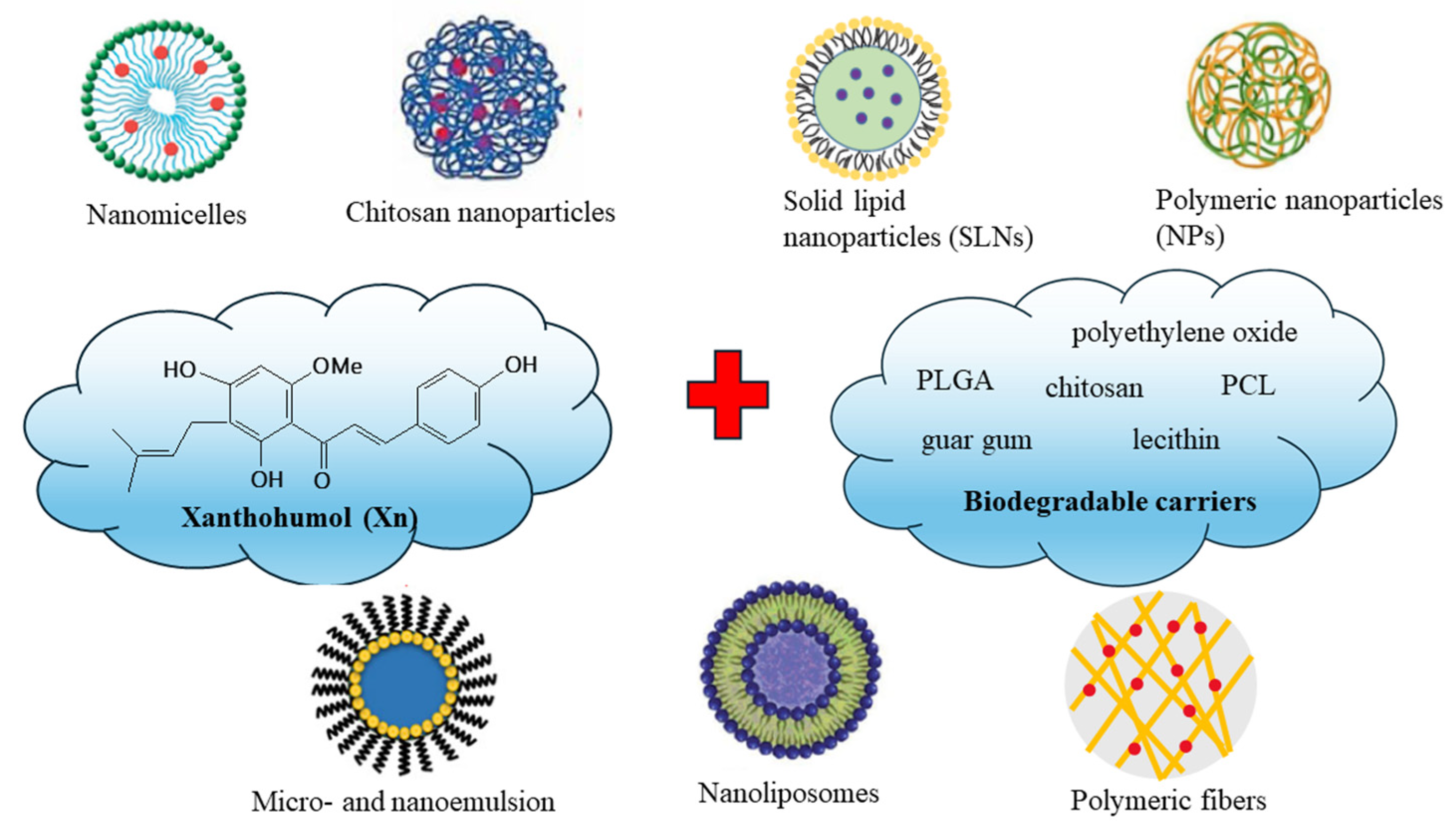 Ijms 25 03398 g002 Ijms 25 03398 g002