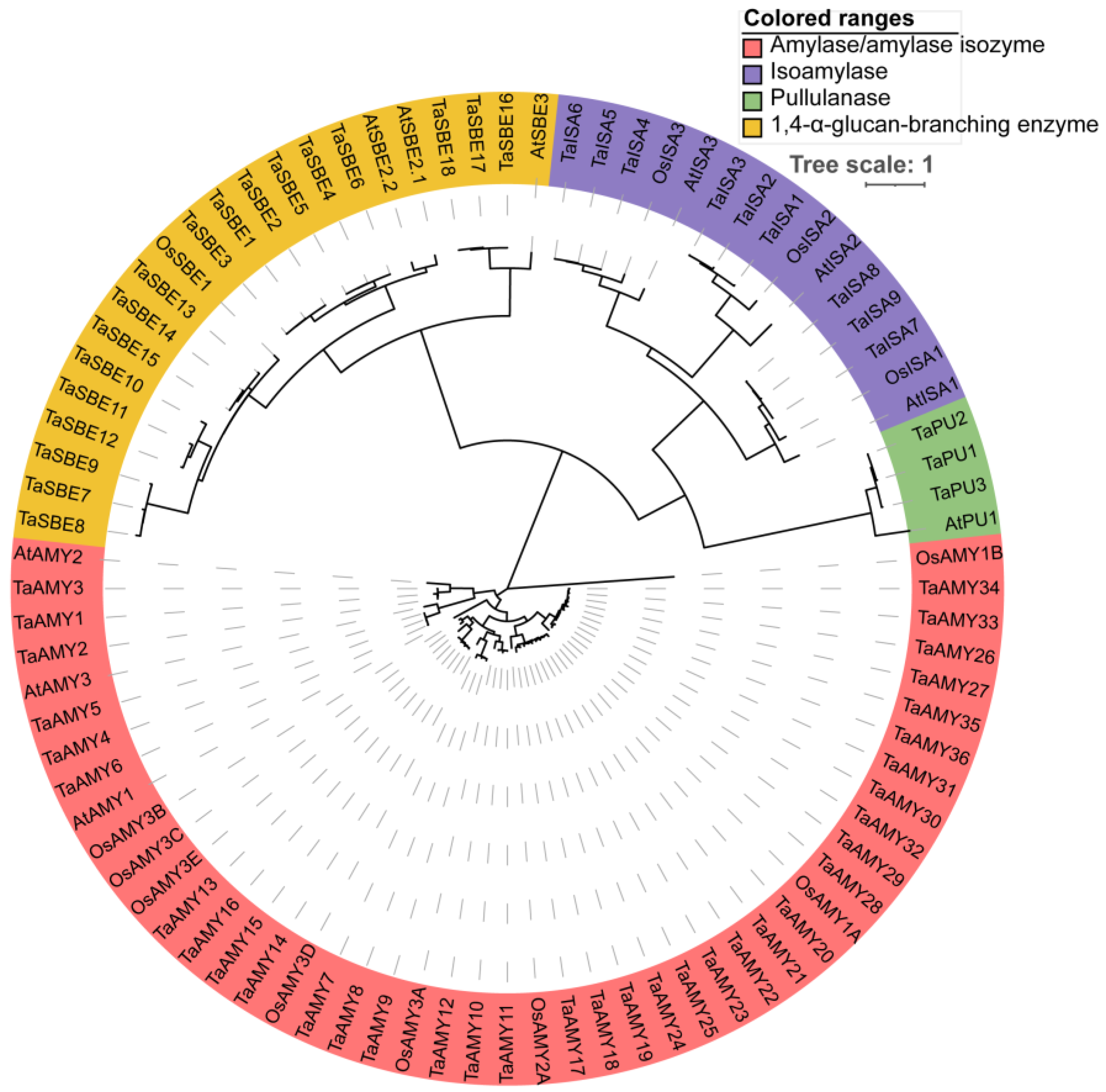 Ijms 25 03399 g001 Ijms 25 03399 g001