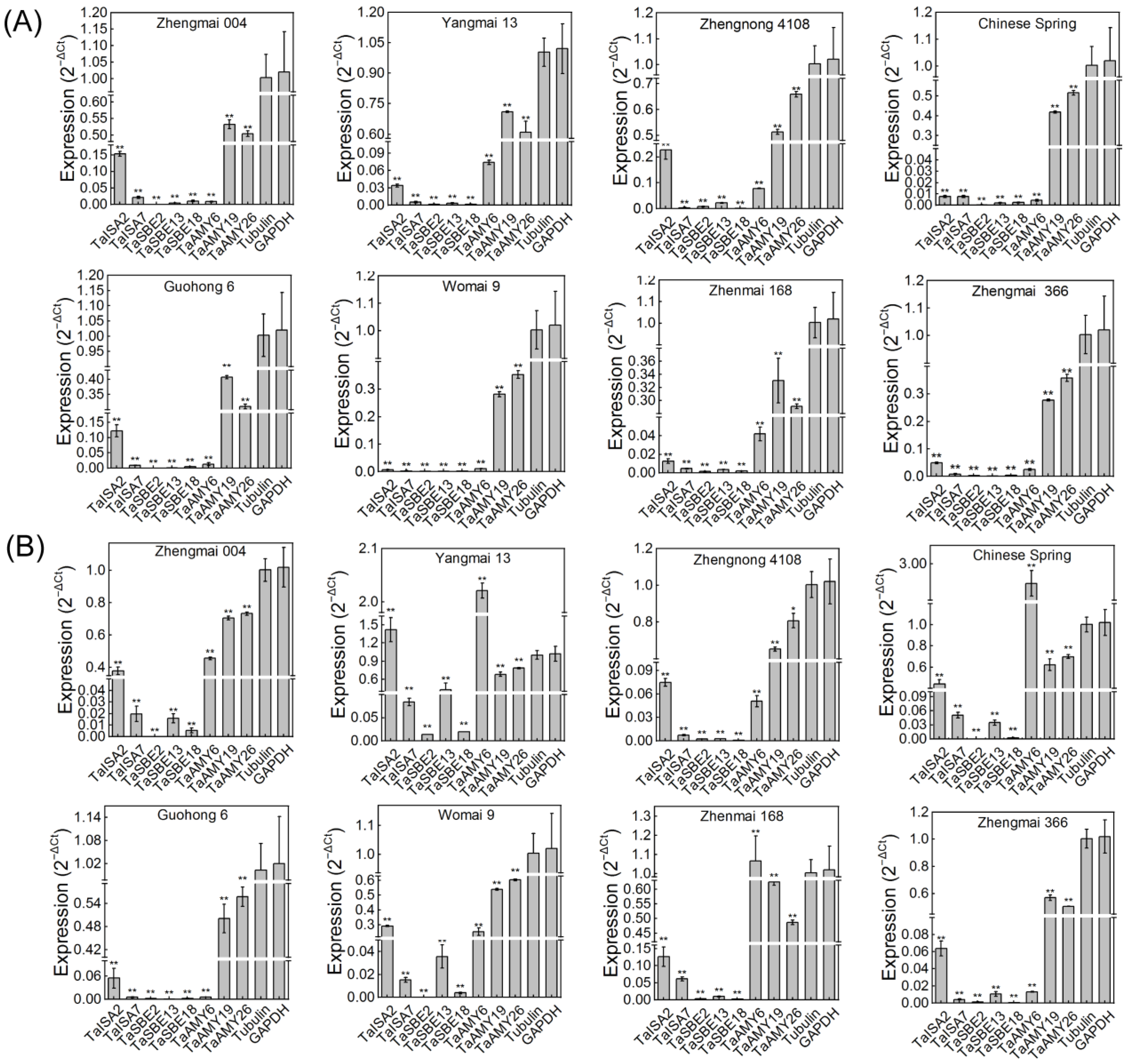 Ijms 25 03399 g008 Ijms 25 03399 g008