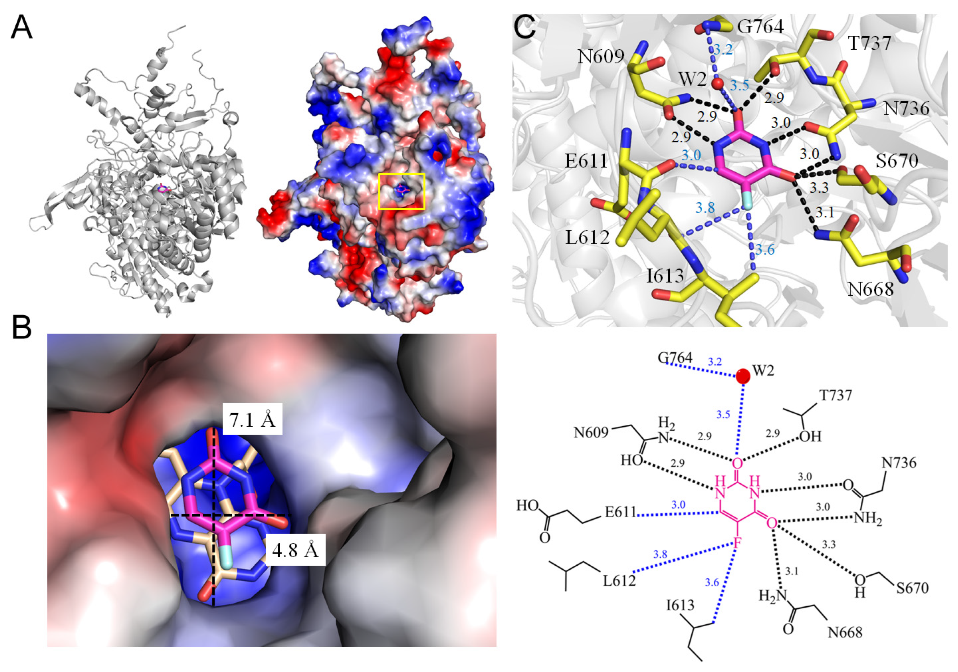 Ijms 25 03404 g001 Ijms 25 03404 g001