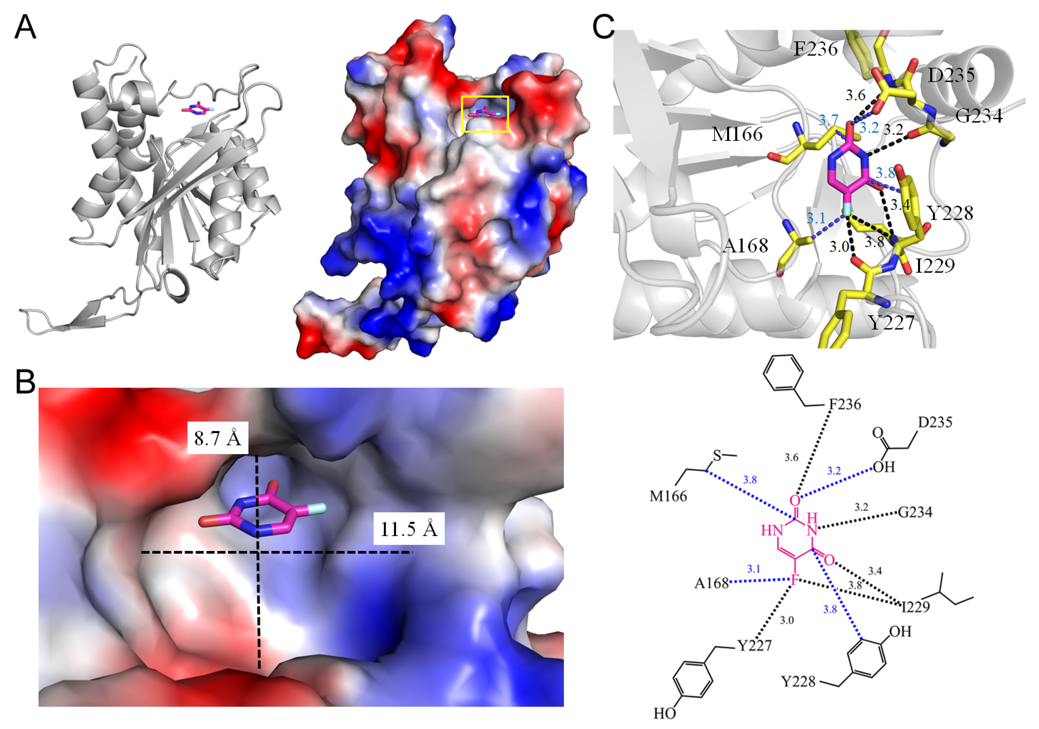 Ijms 25 03404 g002 Ijms 25 03404 g002