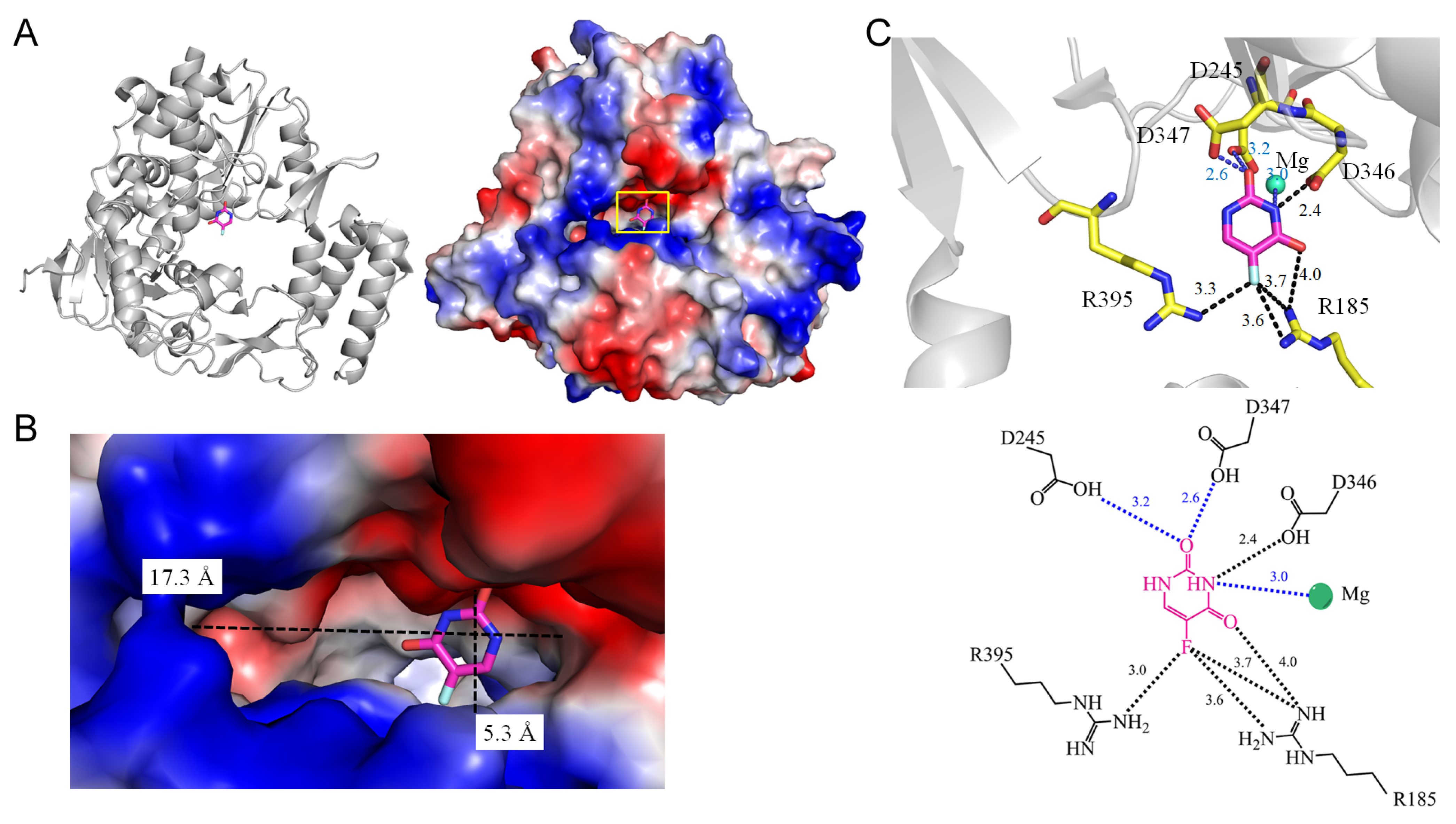 Ijms 25 03404 g003 Ijms 25 03404 g003