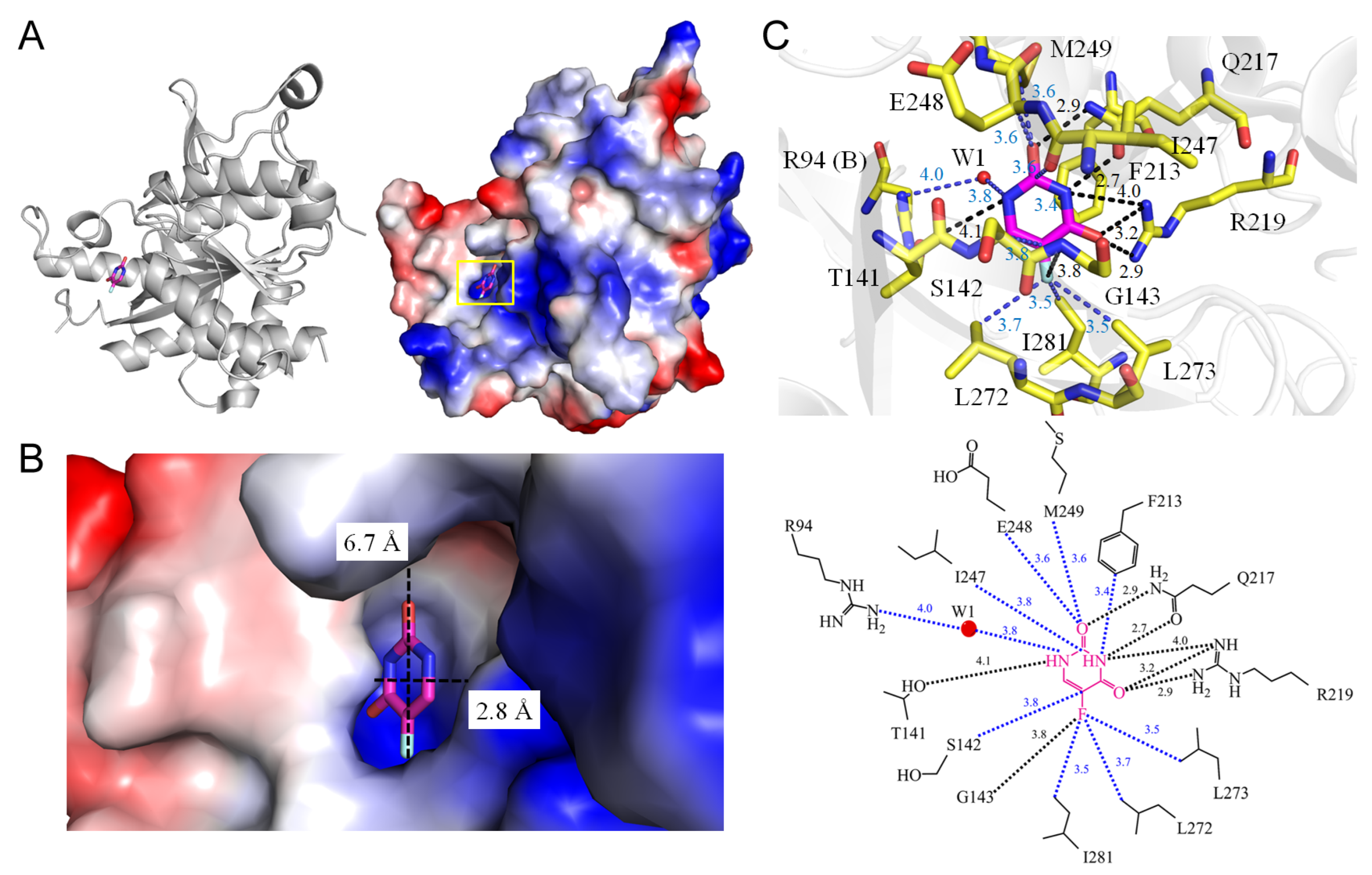 Ijms 25 03404 g004 Ijms 25 03404 g004