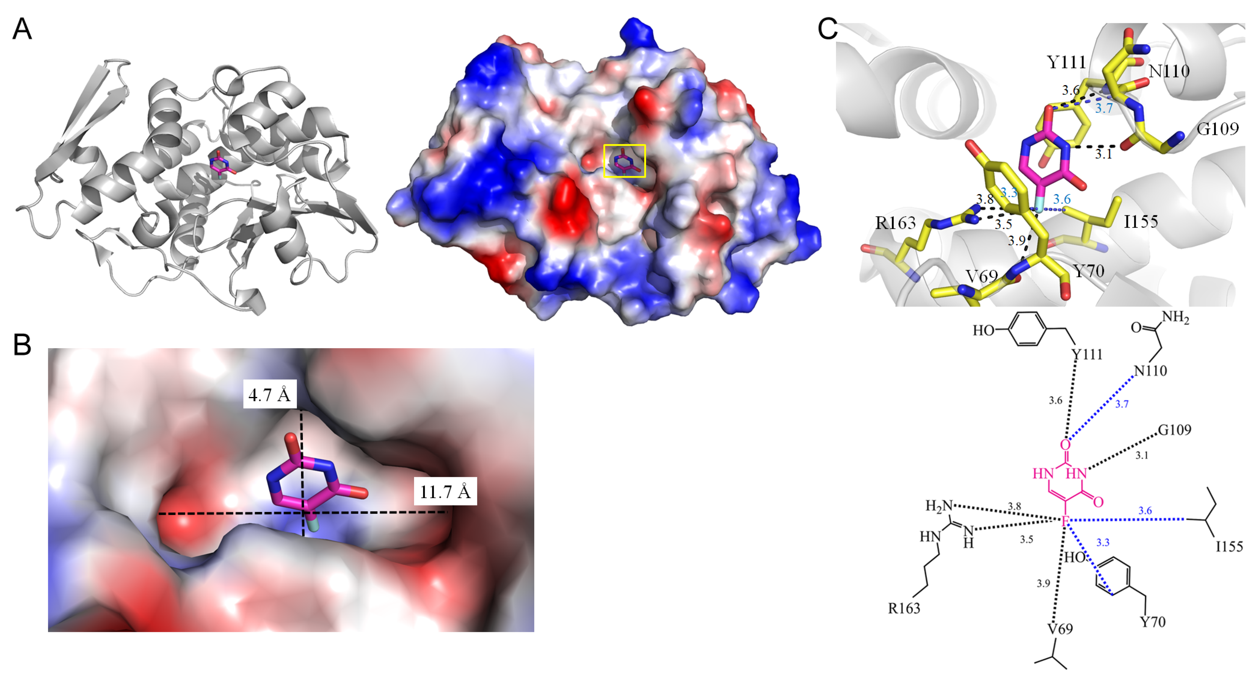 Ijms 25 03404 g005 Ijms 25 03404 g005