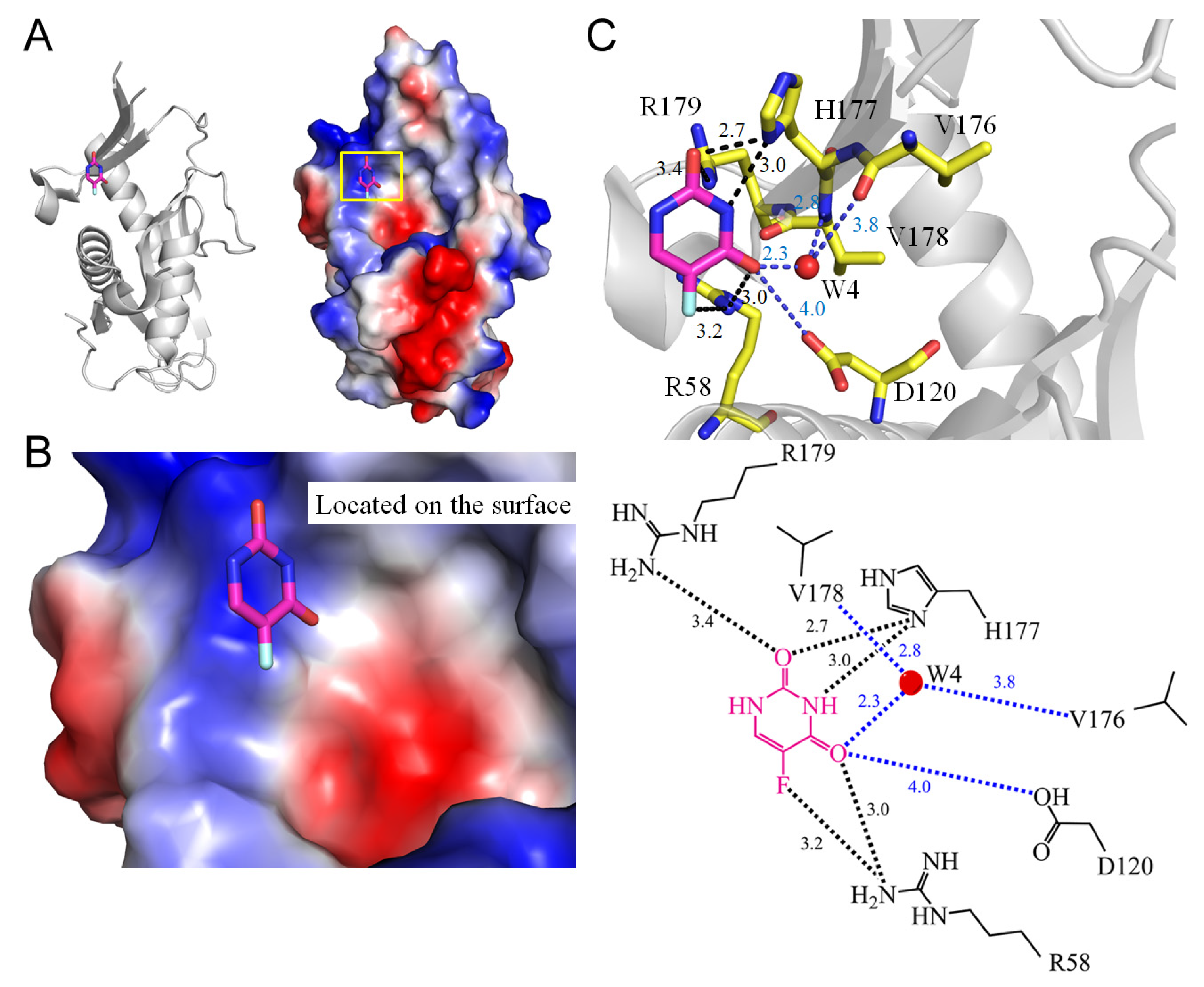 Ijms 25 03404 g007 Ijms 25 03404 g007