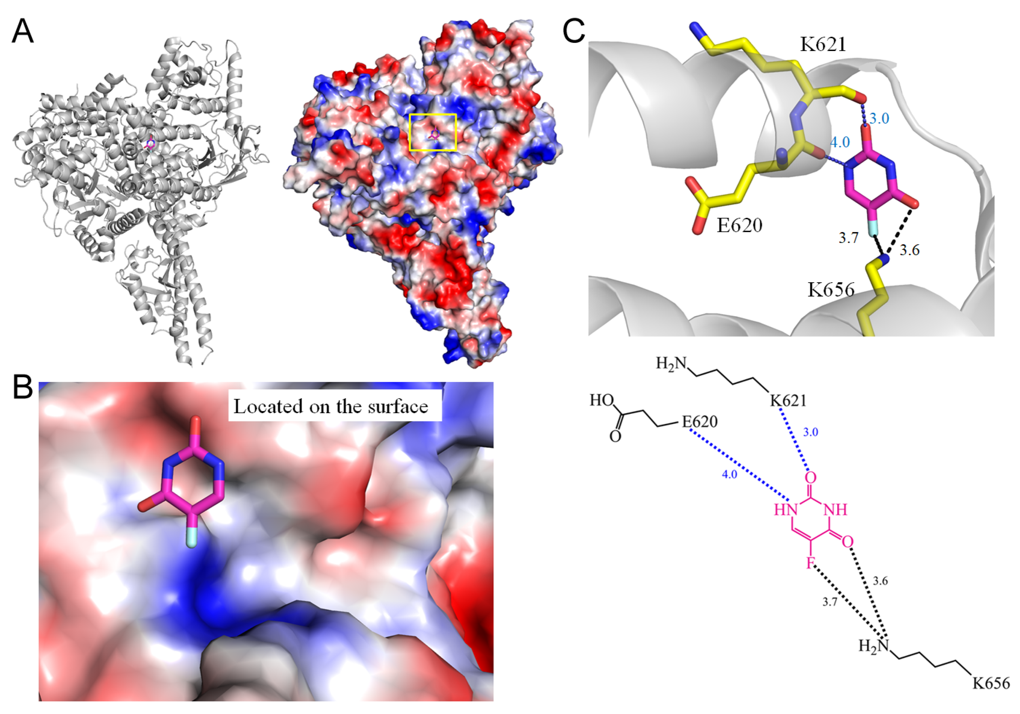 Ijms 25 03404 g008 Ijms 25 03404 g008