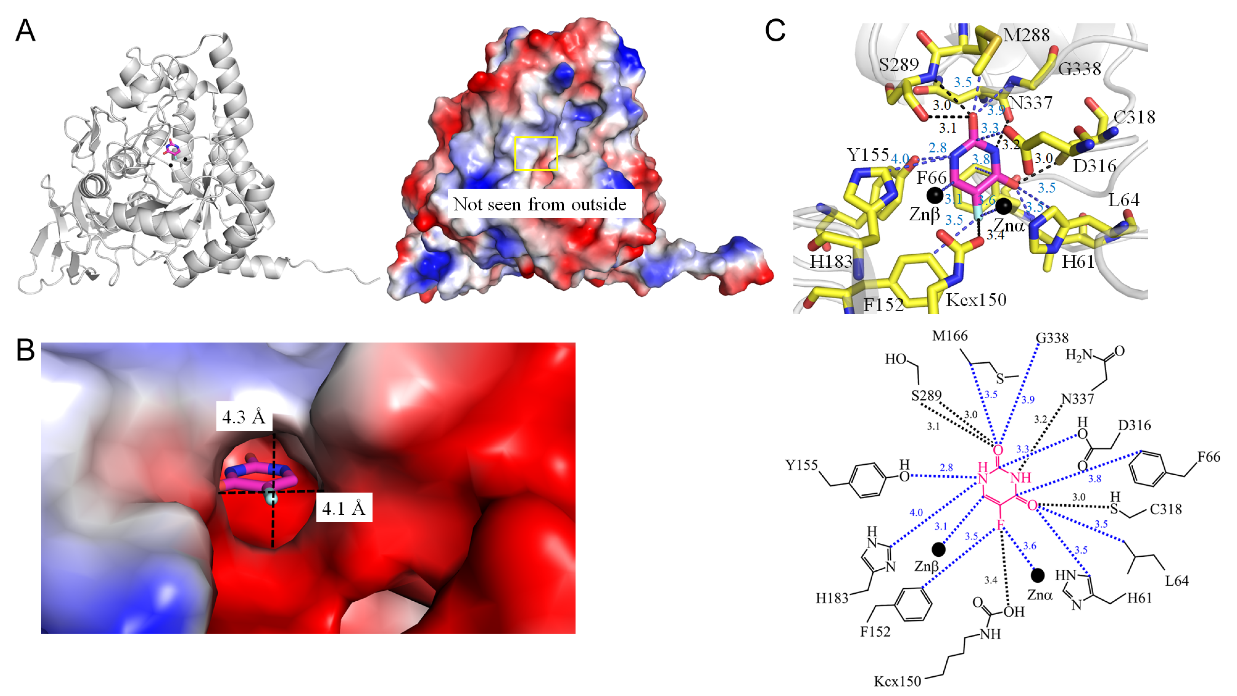Ijms 25 03404 g009 Ijms 25 03404 g009