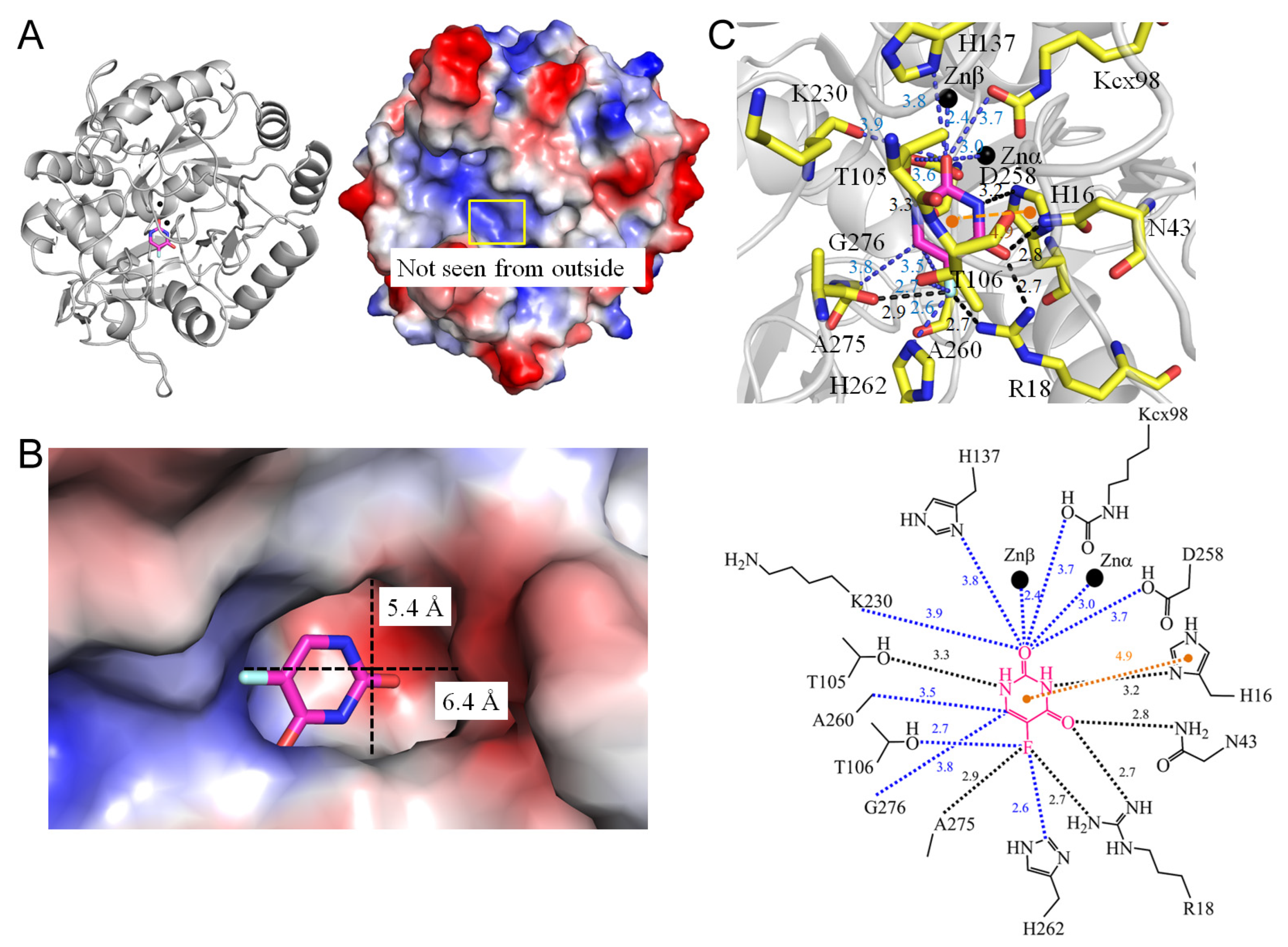 Ijms 25 03404 g010 Ijms 25 03404 g010