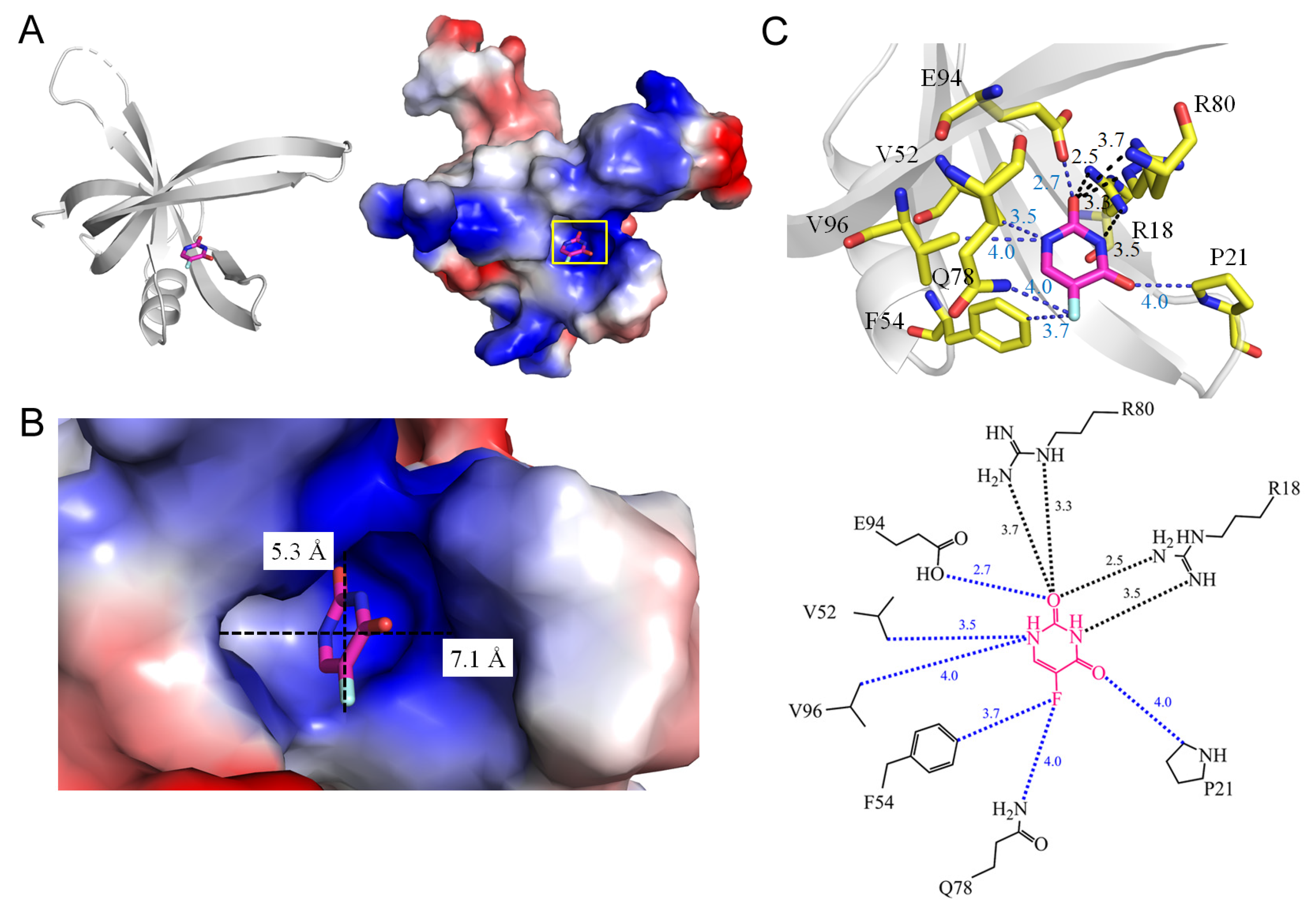 Ijms 25 03404 g012 Ijms 25 03404 g012