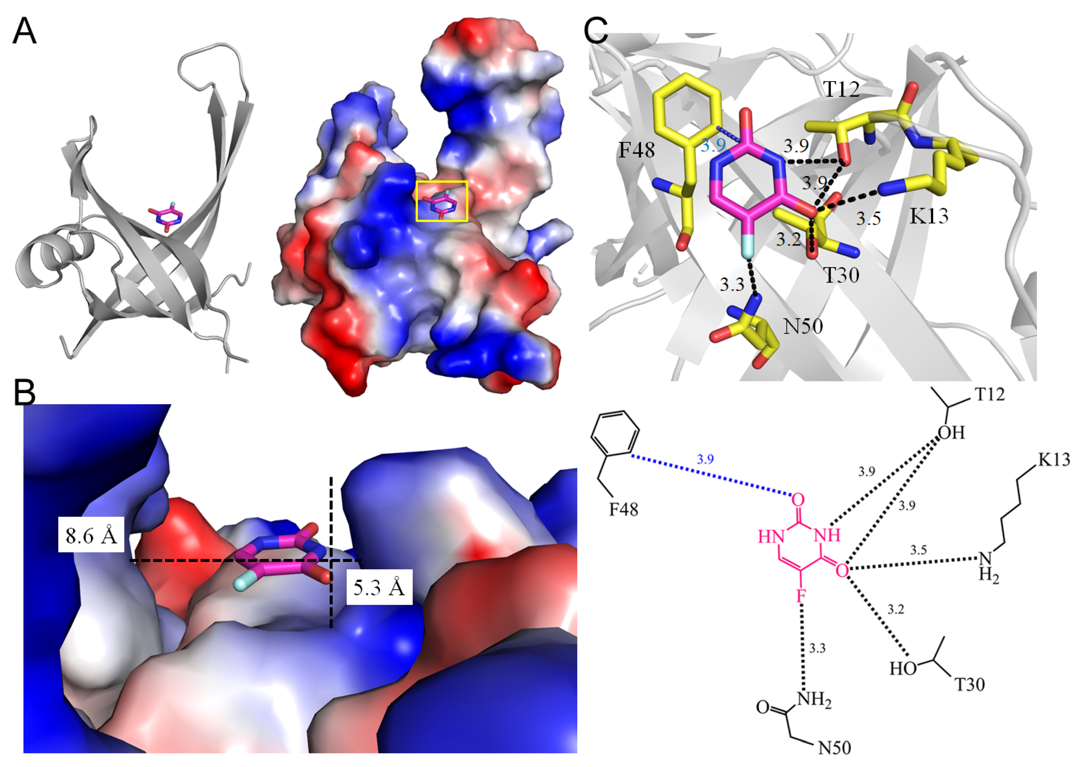 Ijms 25 03404 g013 Ijms 25 03404 g013