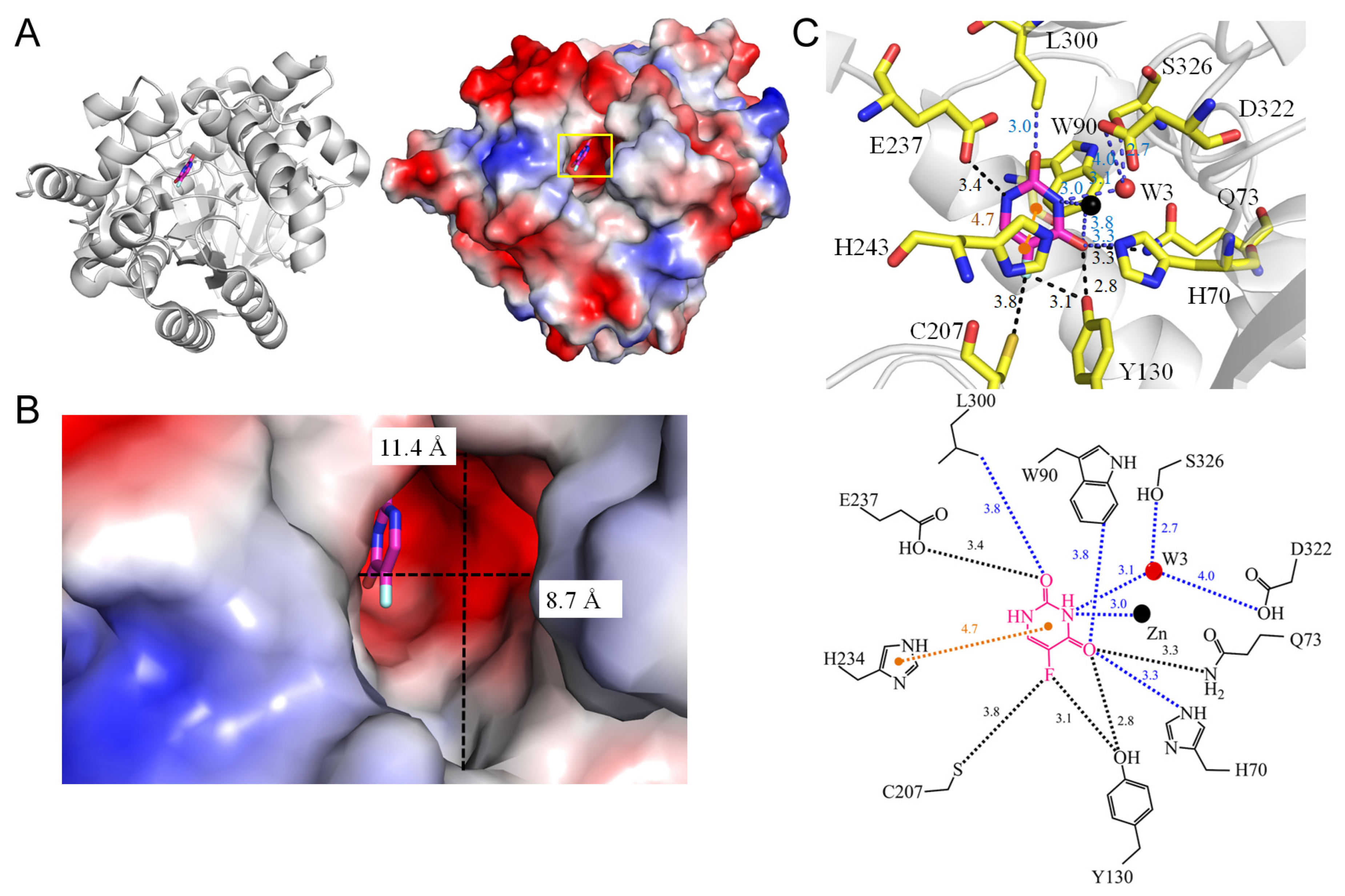 Ijms 25 03404 g014 Ijms 25 03404 g014