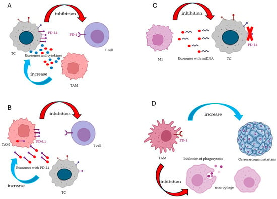 IJMS | Free Full-Text | New Strategies for Macrophage Re-Education in ...