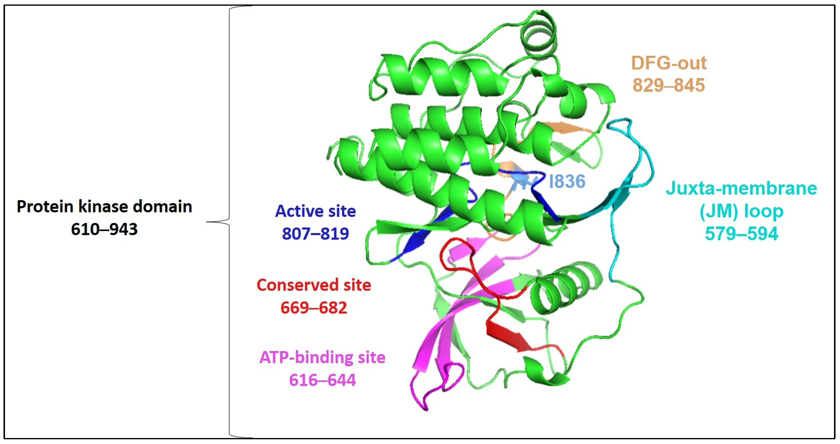 Ijms 25 03419 g003 Ijms 25 03419 g003