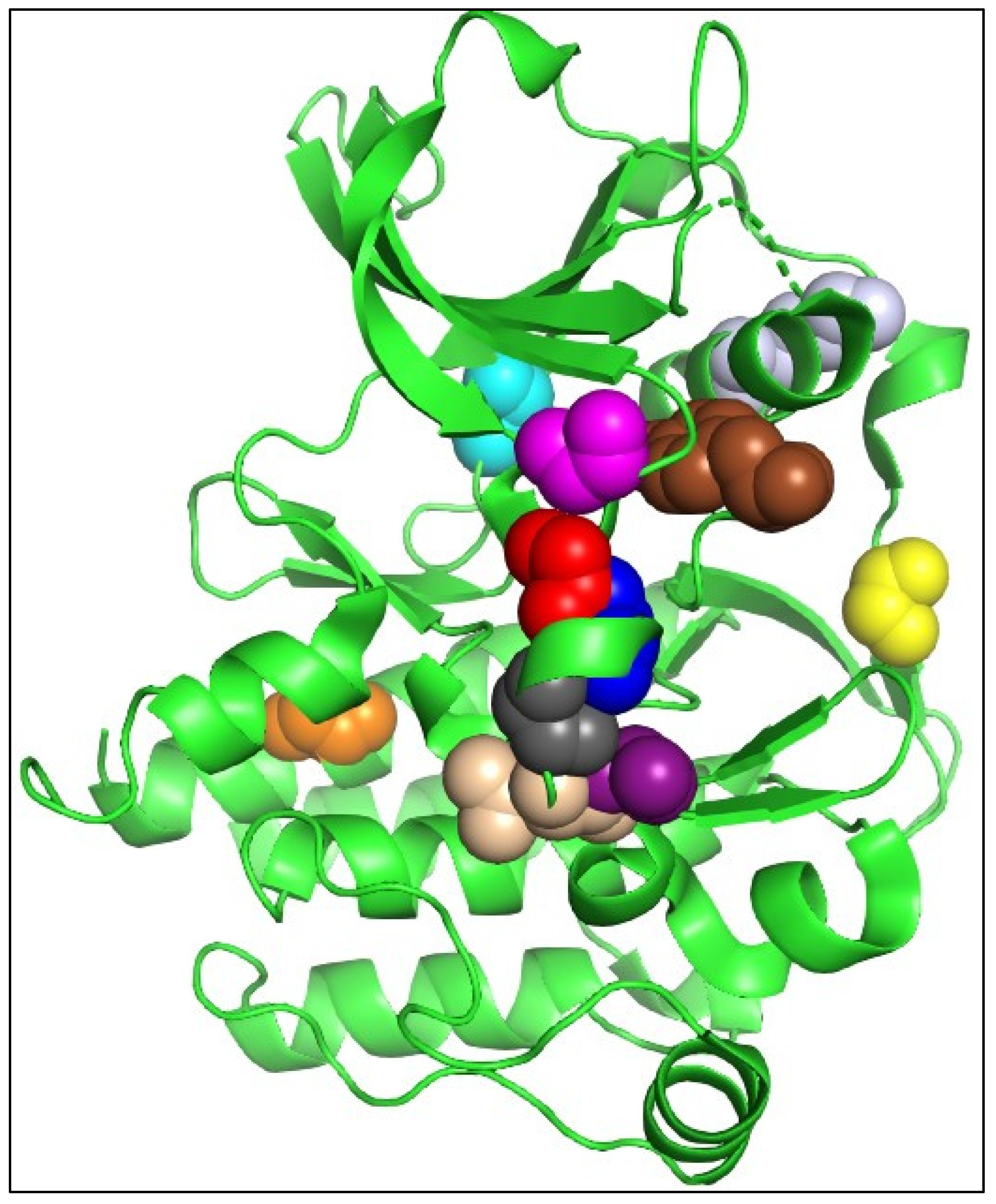 Ijms 25 03419 g004 Ijms 25 03419 g004