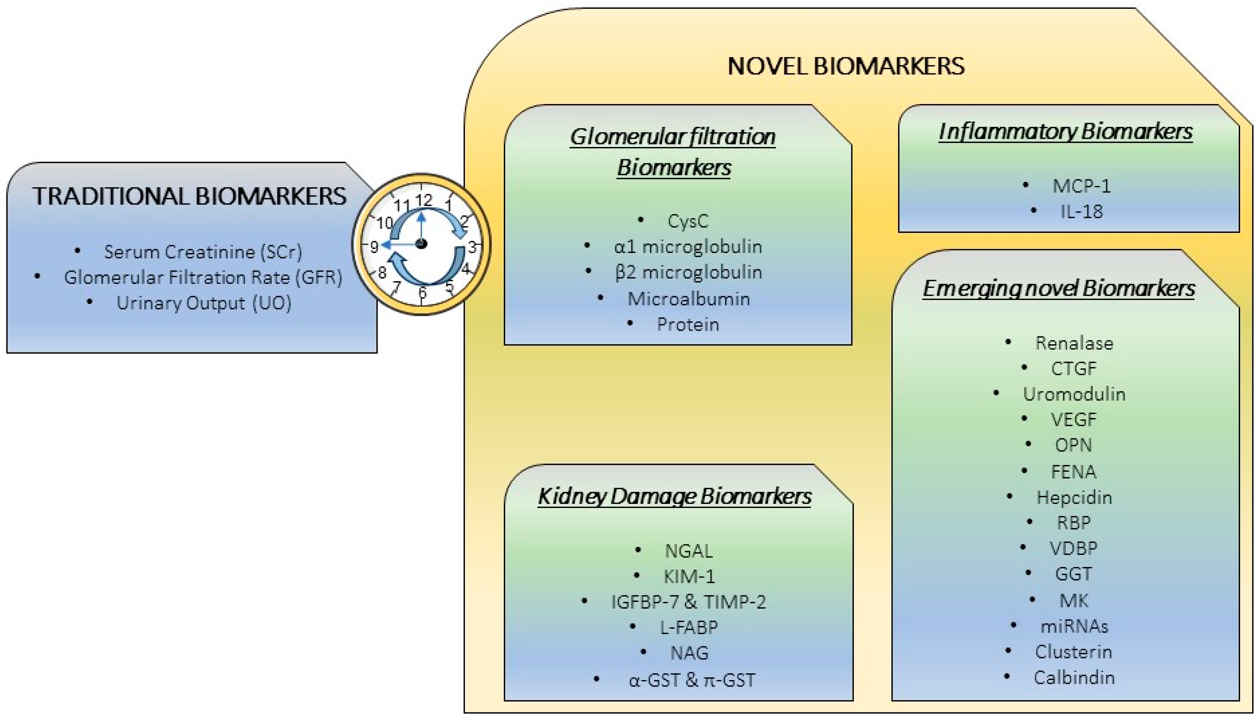 Ijms 25 03438 g002 Ijms 25 03438 g002