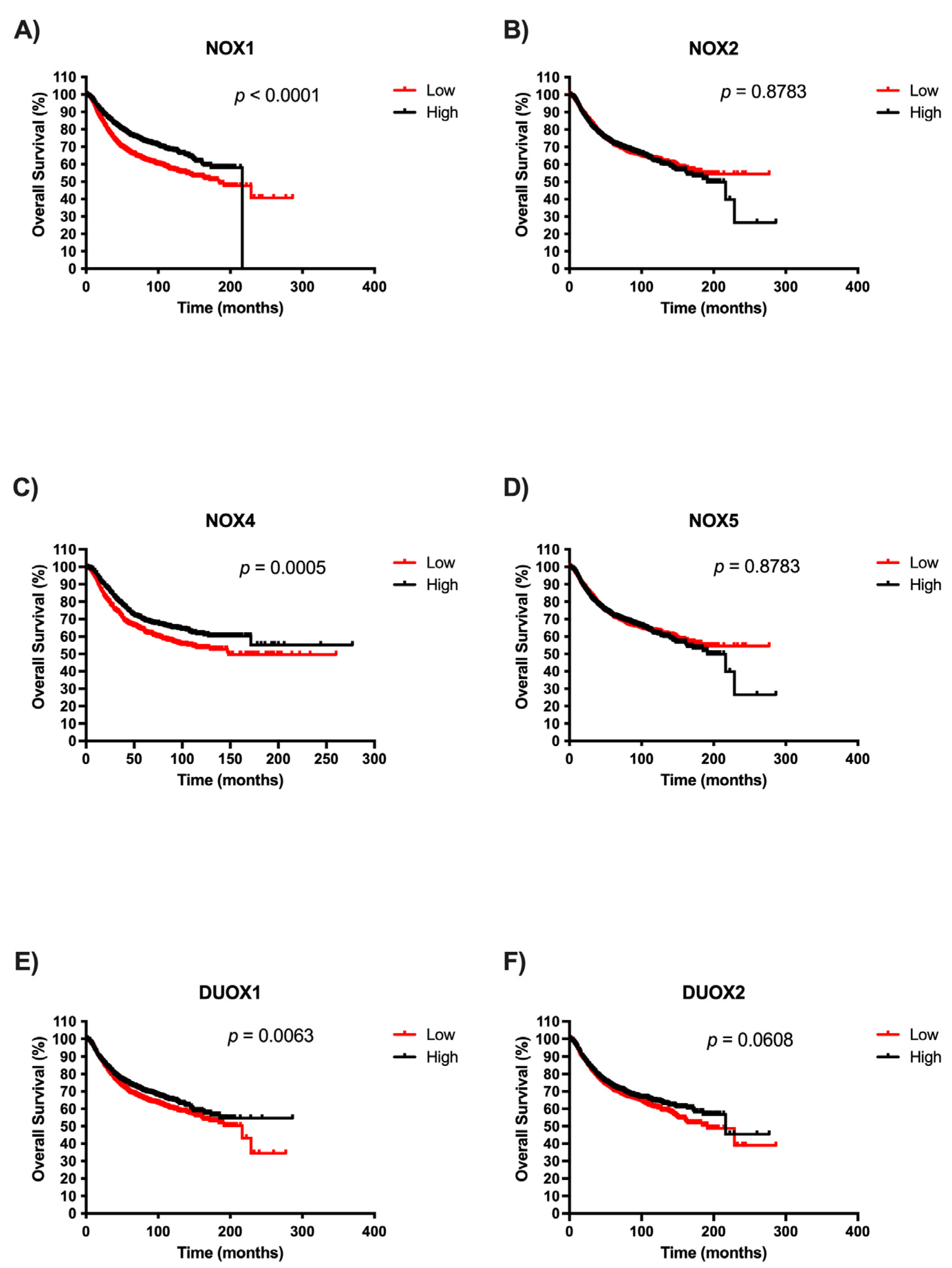 Ijms 25 03464 g004 Ijms 25 03464 g004