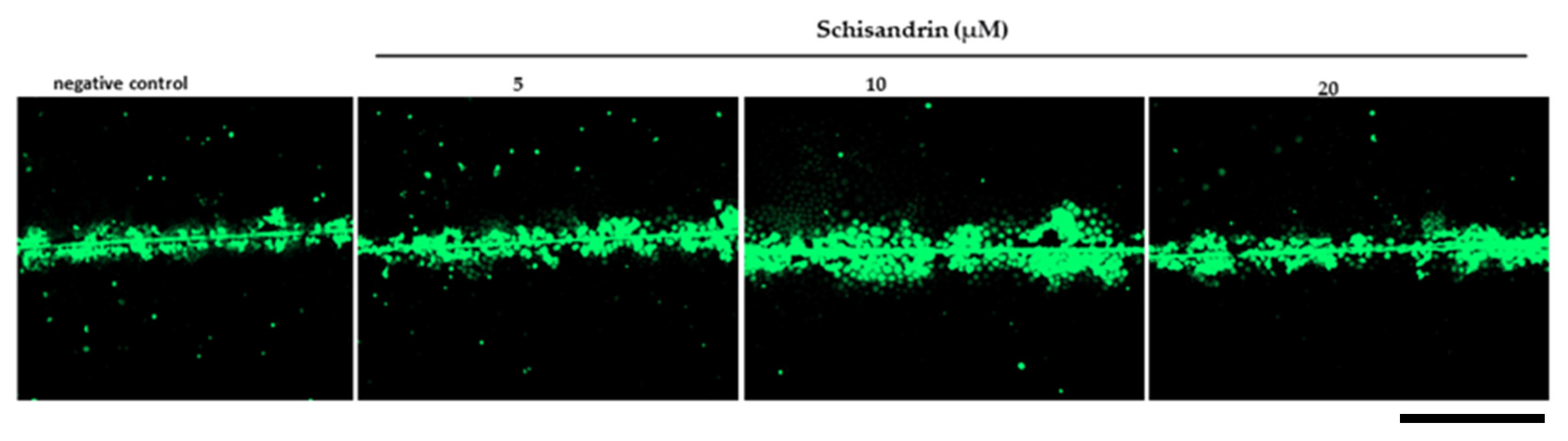 Ijms 25 03465 g006 Ijms 25 03465 g006
