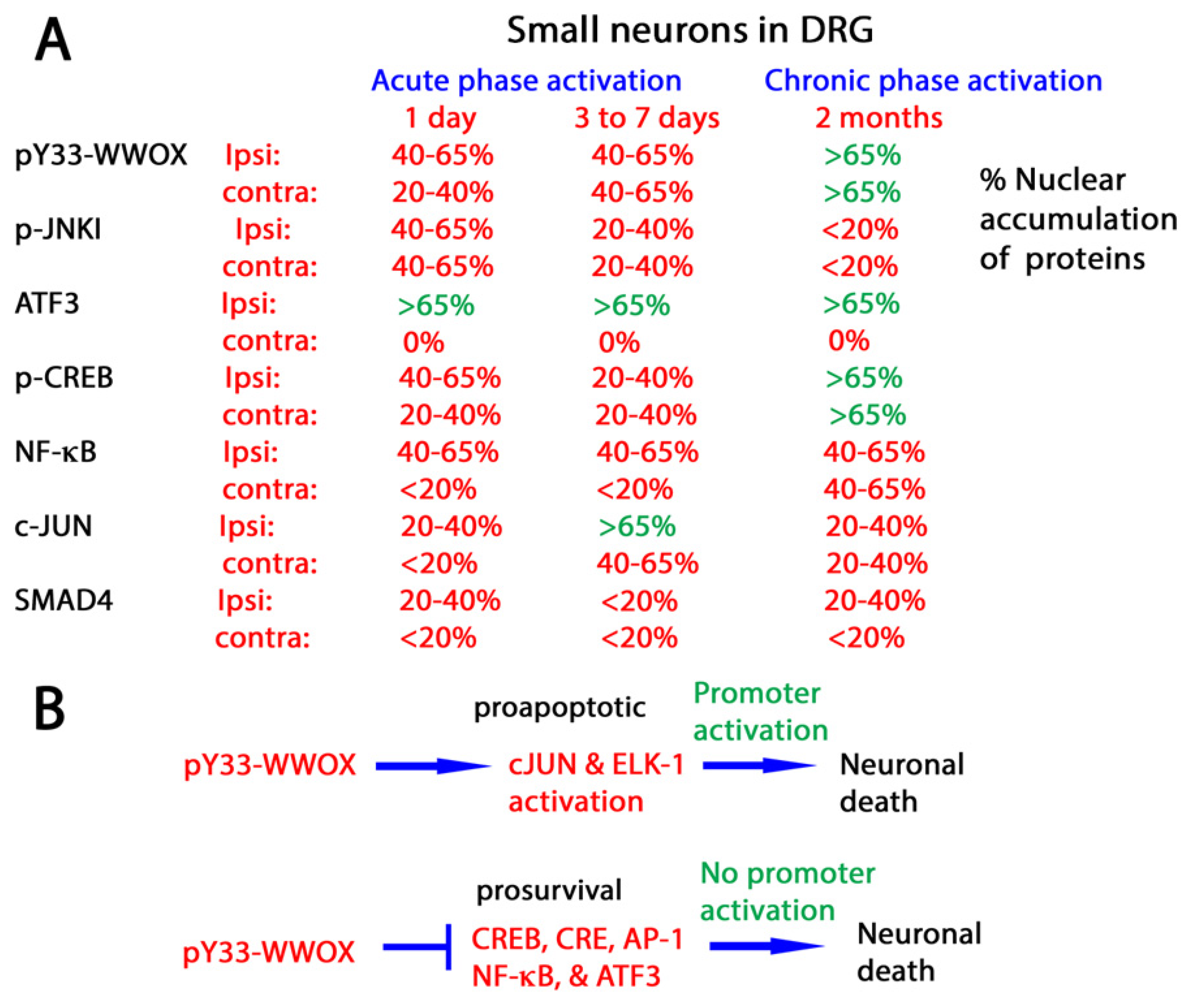 Ijms 25 03507 g002 Ijms 25 03507 g002